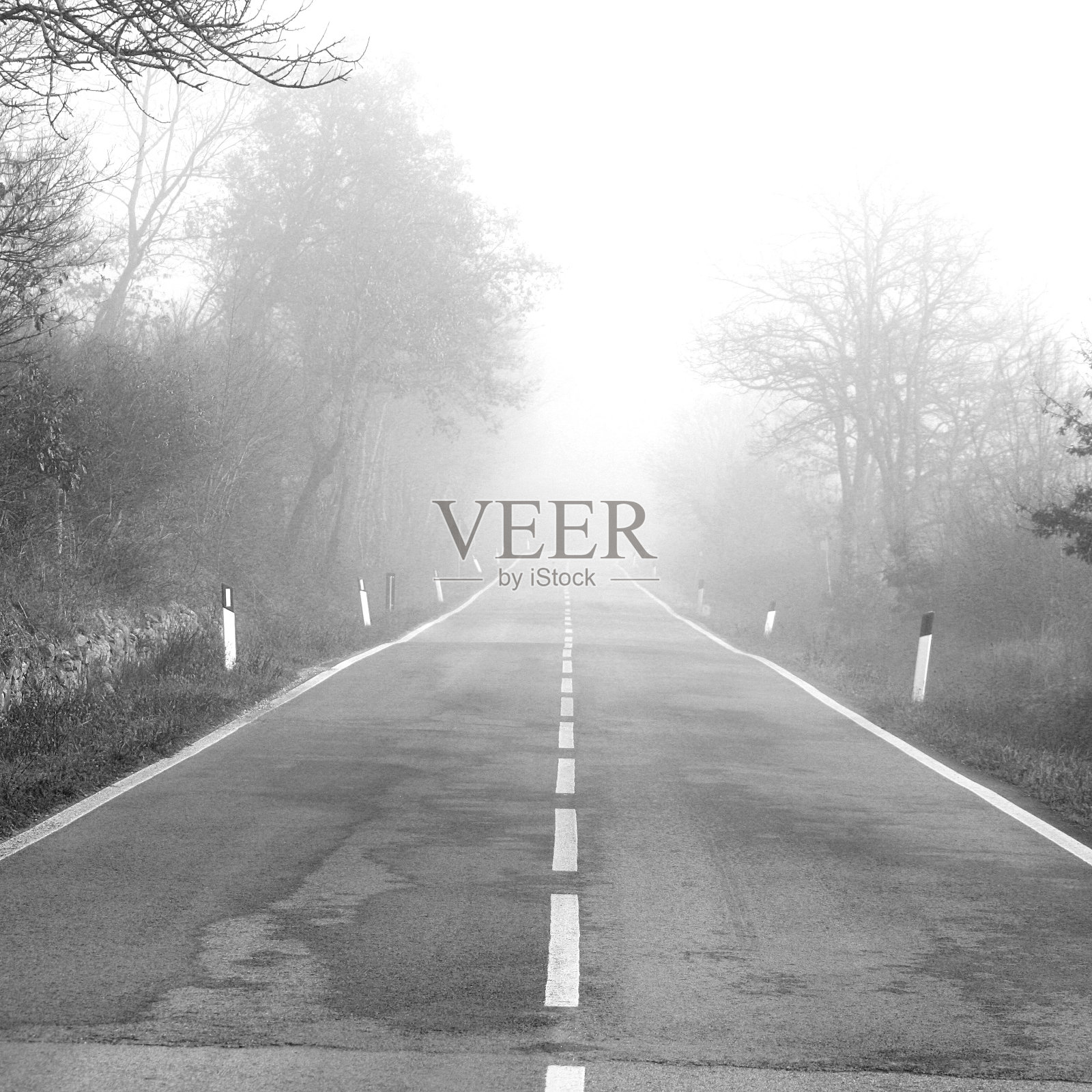 意大利托斯卡纳的一条雾蒙蒙的乡村公路照片摄影图片