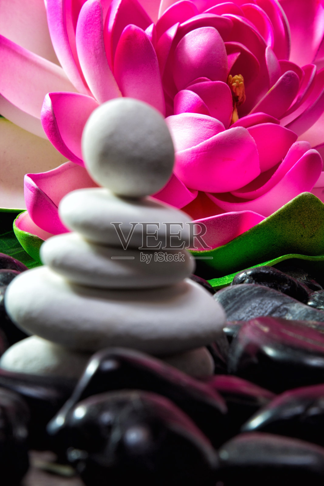 健康照片摄影图片