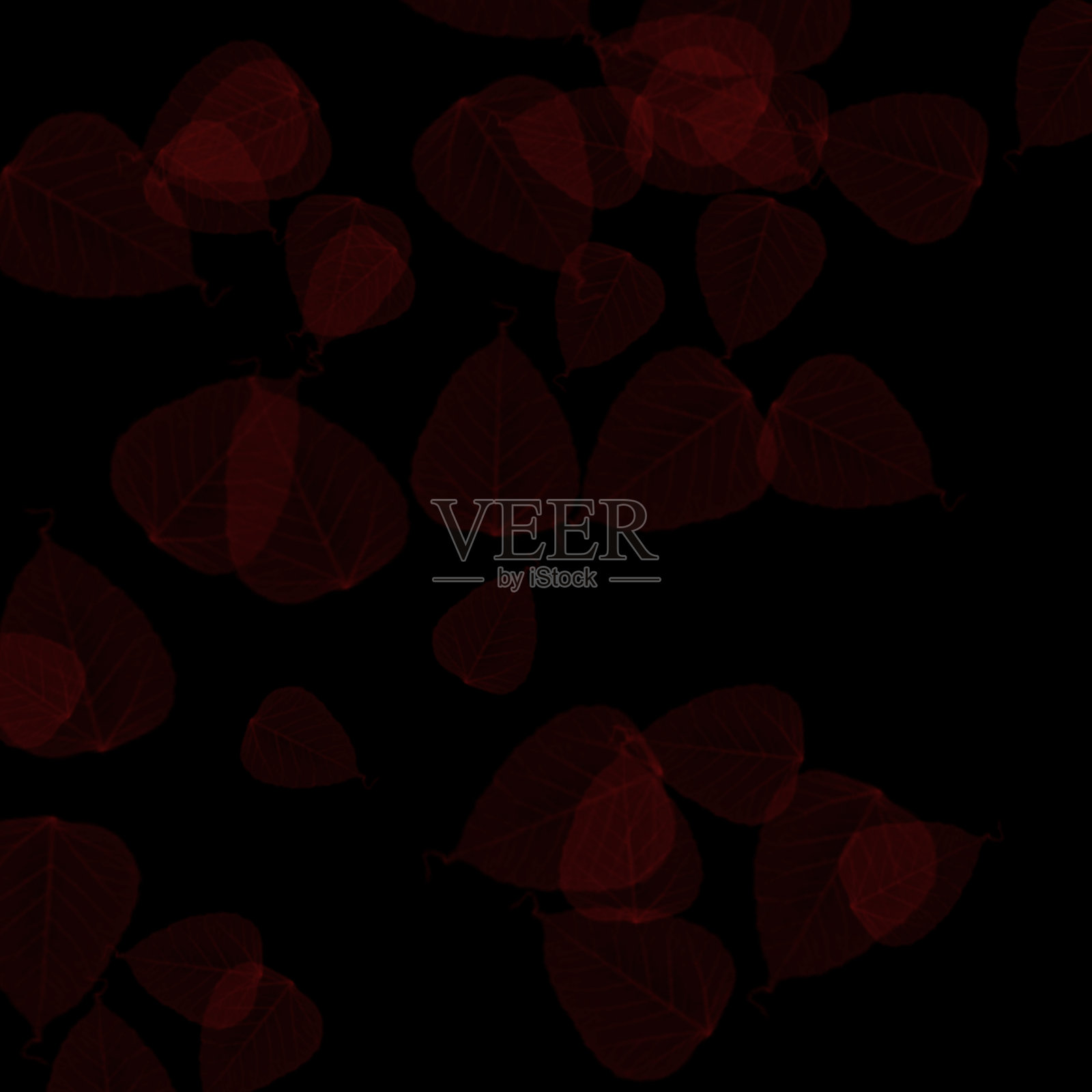 黑色背景上的彩色散景照片摄影图片