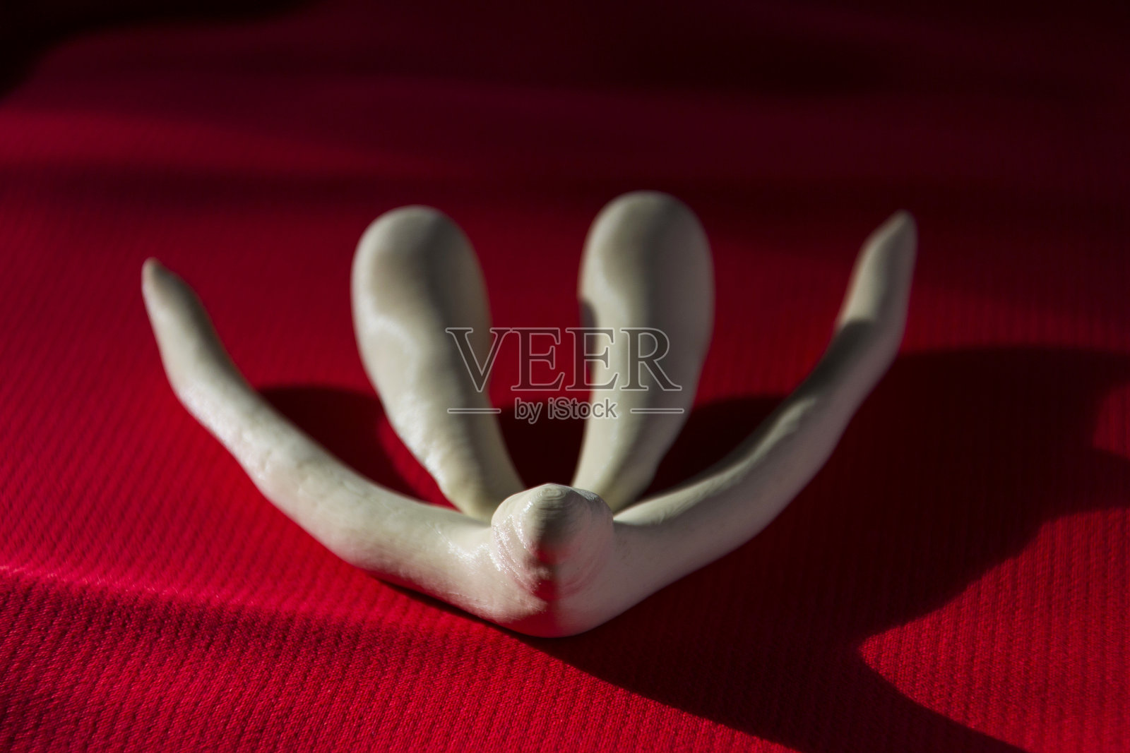 3d打印女性性器官阴蒂，用于人体解剖学课程照片摄影图片