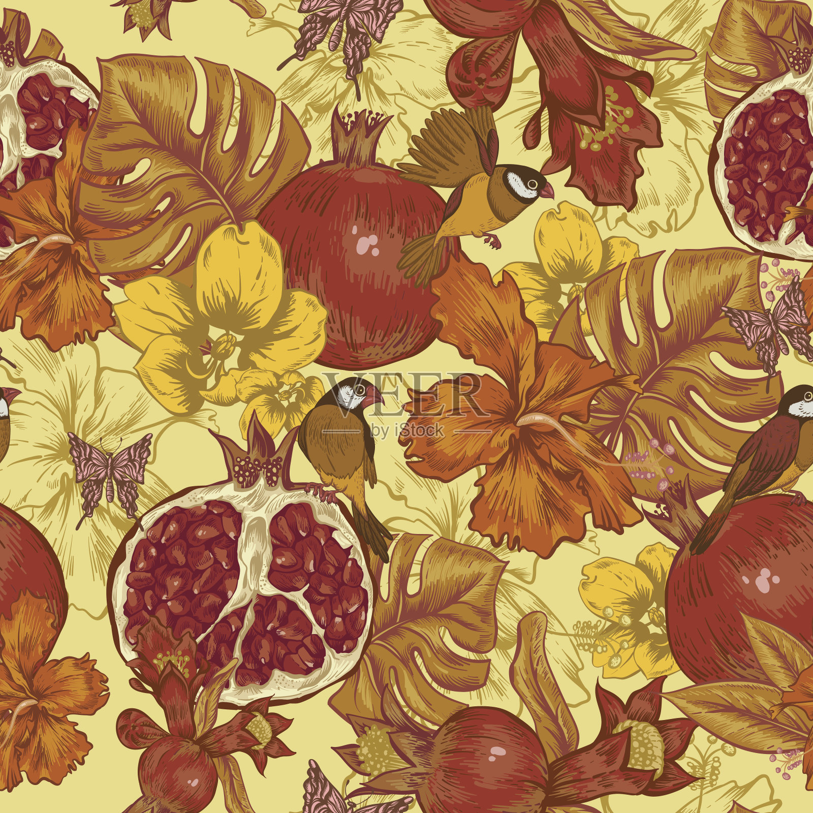 葡萄无缝背景，热带水果，花，蝴蝶和鸟类插画图片素材