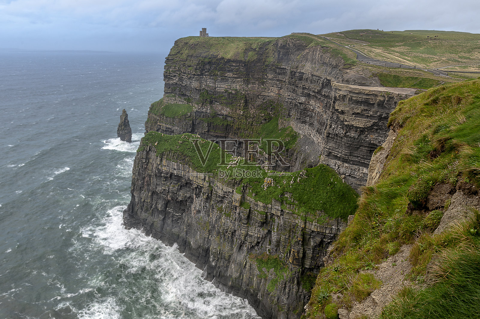 欧洲爱尔兰莫赫悬崖上茂盛的草照片摄影图片