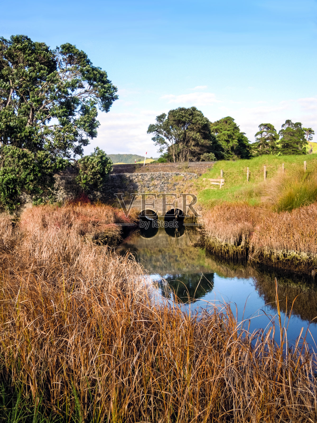 美丽的风景，旺阿雷，新西兰-股票形象照片摄影图片