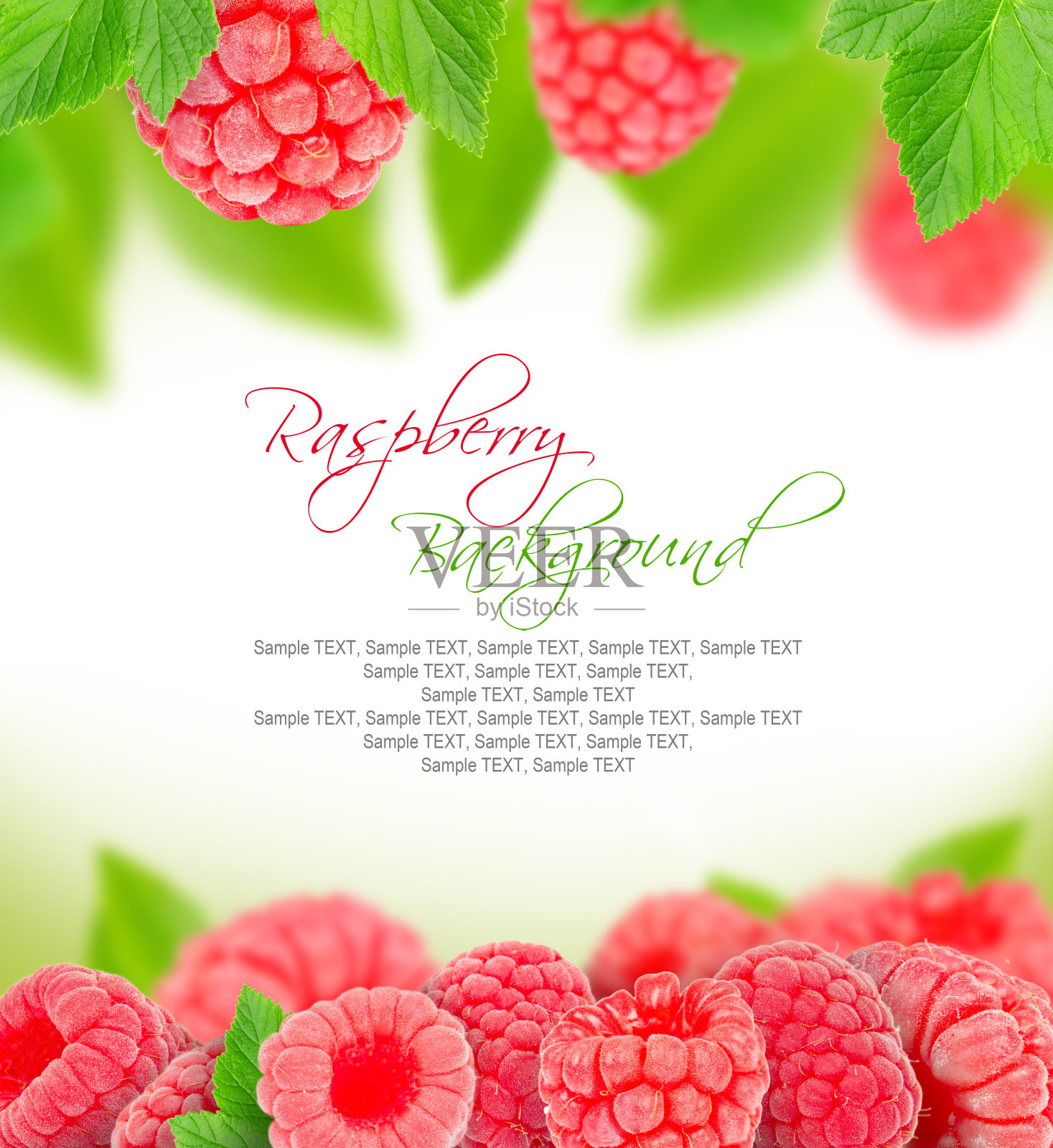 树莓照片摄影图片