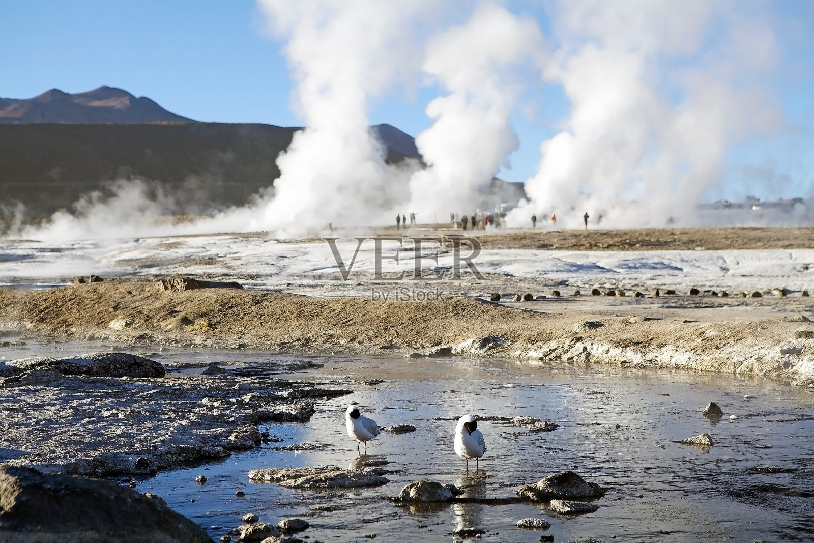 El Tatio间歇泉，智利照片摄影图片
