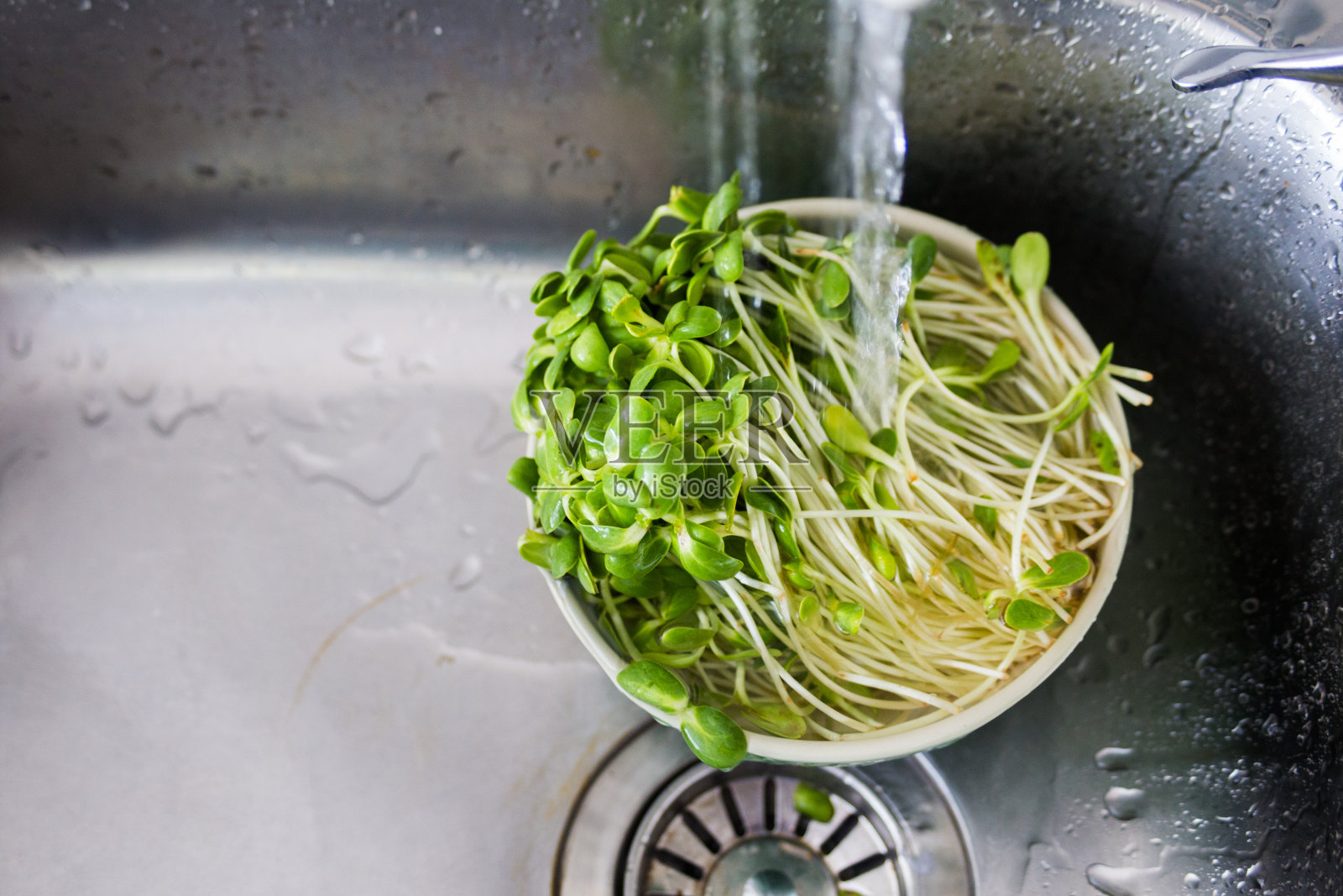 有机蔬菜照片摄影图片