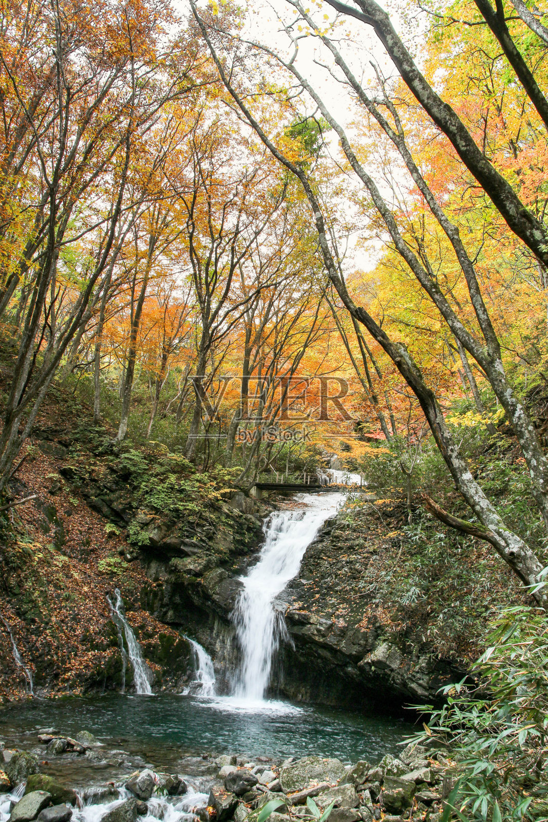 秋天的风景，树木和河流照片摄影图片