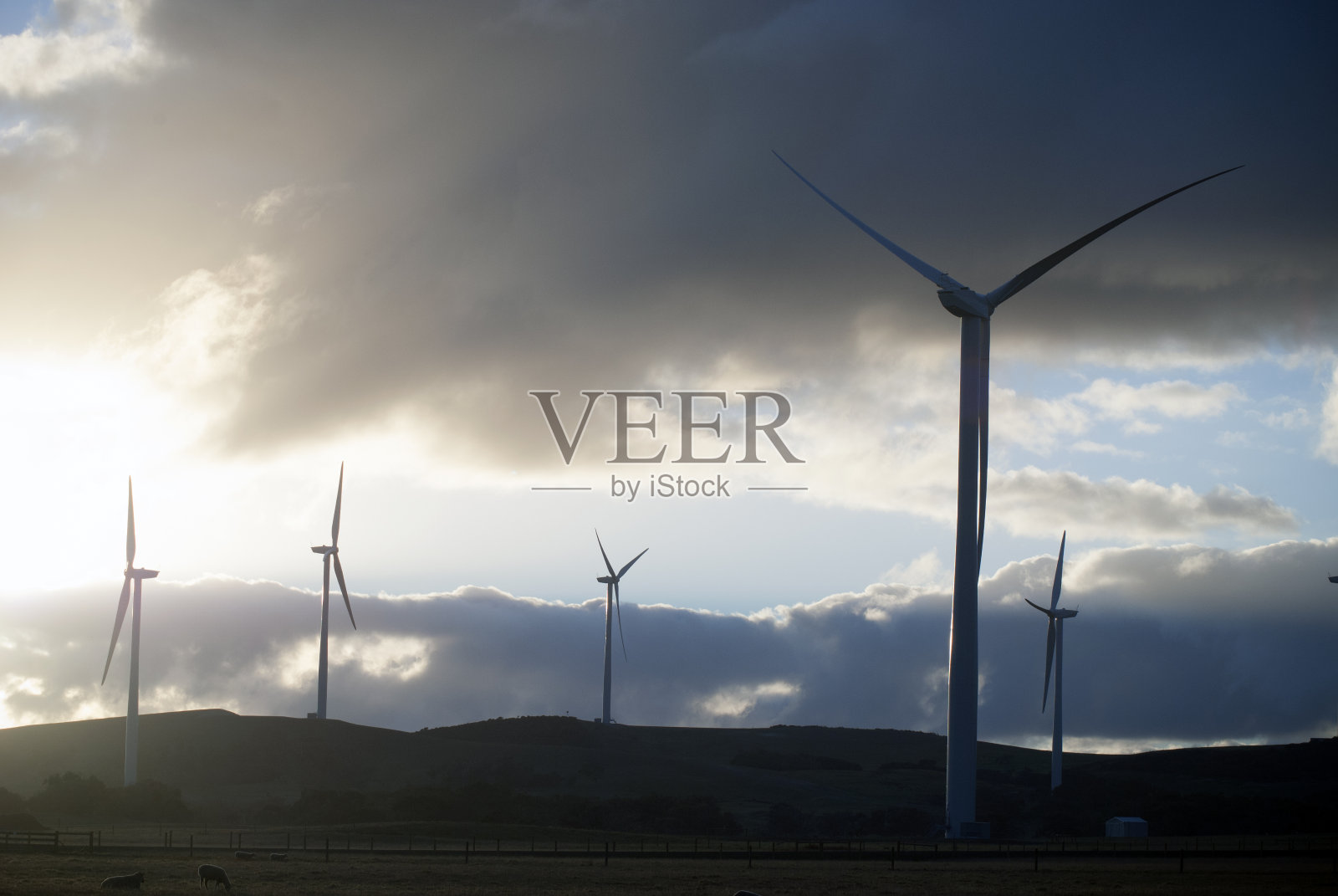 田野里的风力涡轮机照片摄影图片