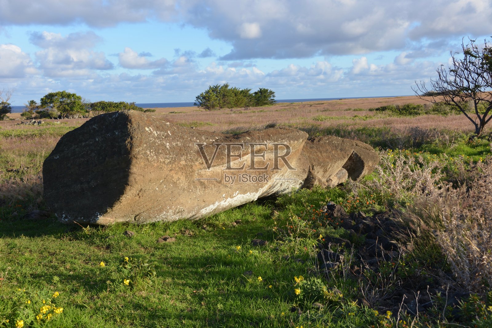 属于摩照片摄影图片