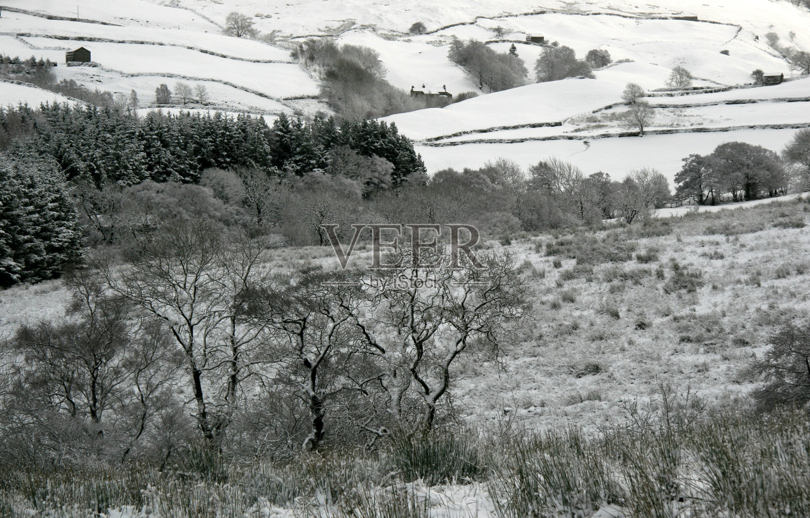 约克郡山谷雪照片摄影图片