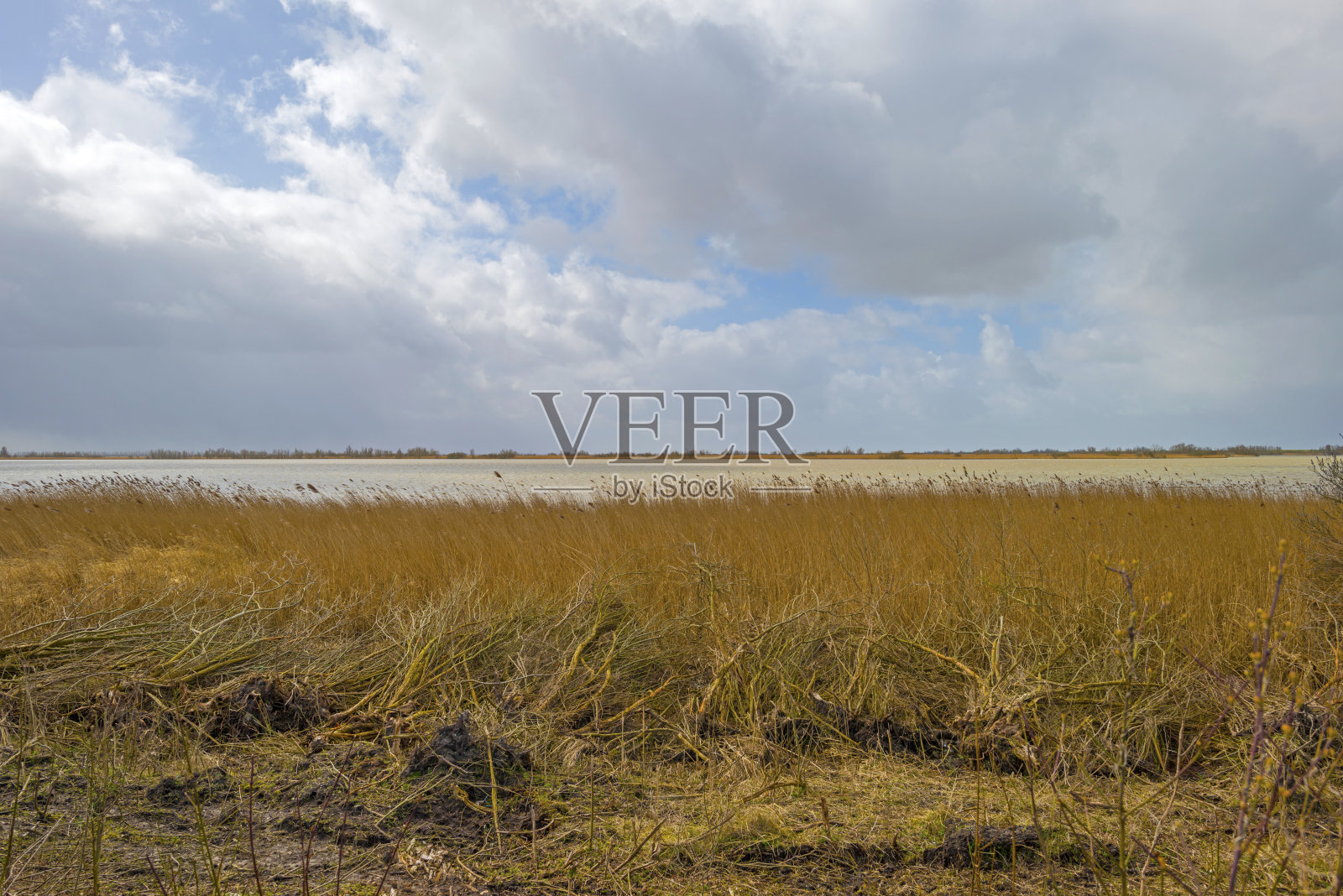 在天气恶化的春天湖边照片摄影图片