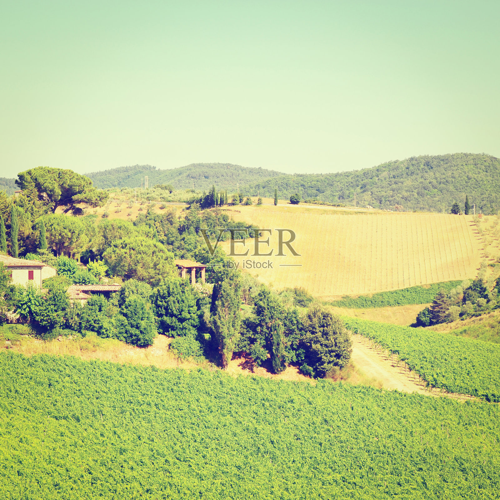 希尔的托斯卡纳照片摄影图片