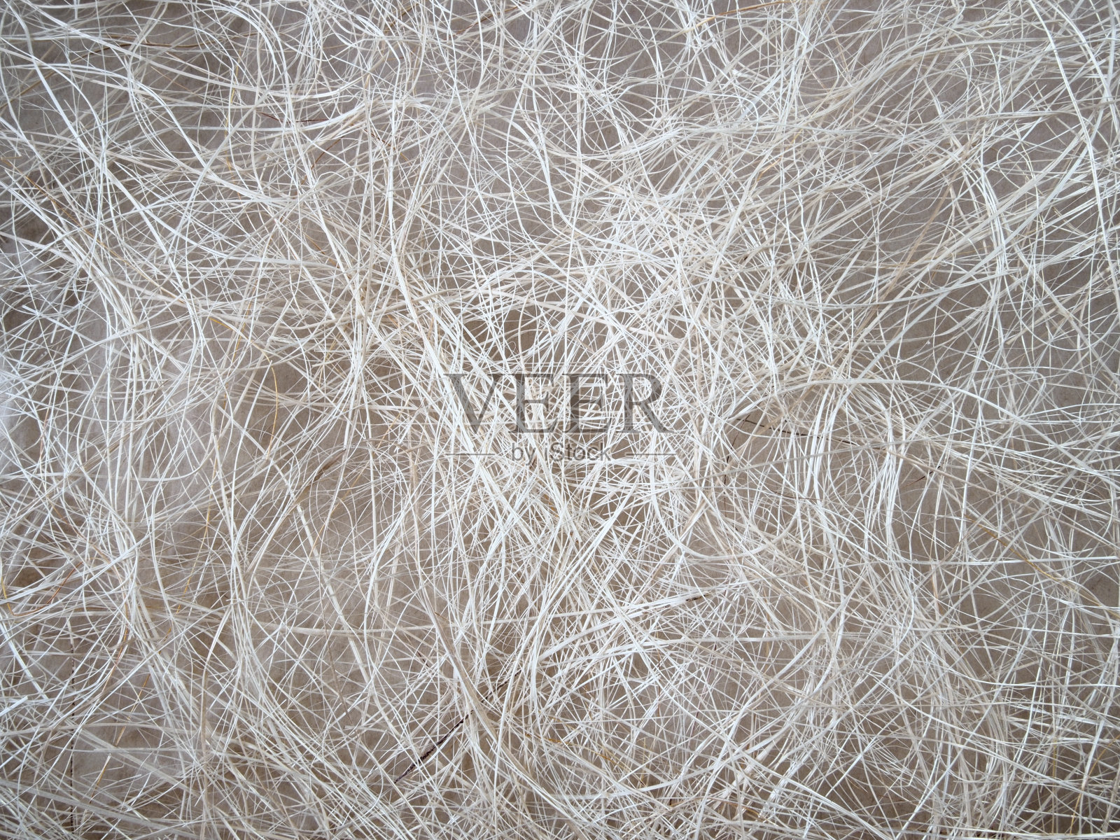 纸纤维照片摄影图片