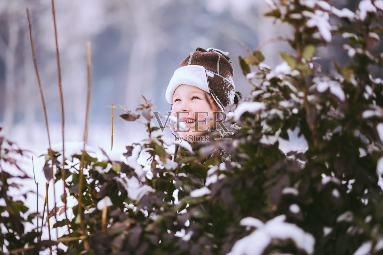 有趣的蓝眼睛男孩在雪天躲在灌木丛后面照片摄影图片