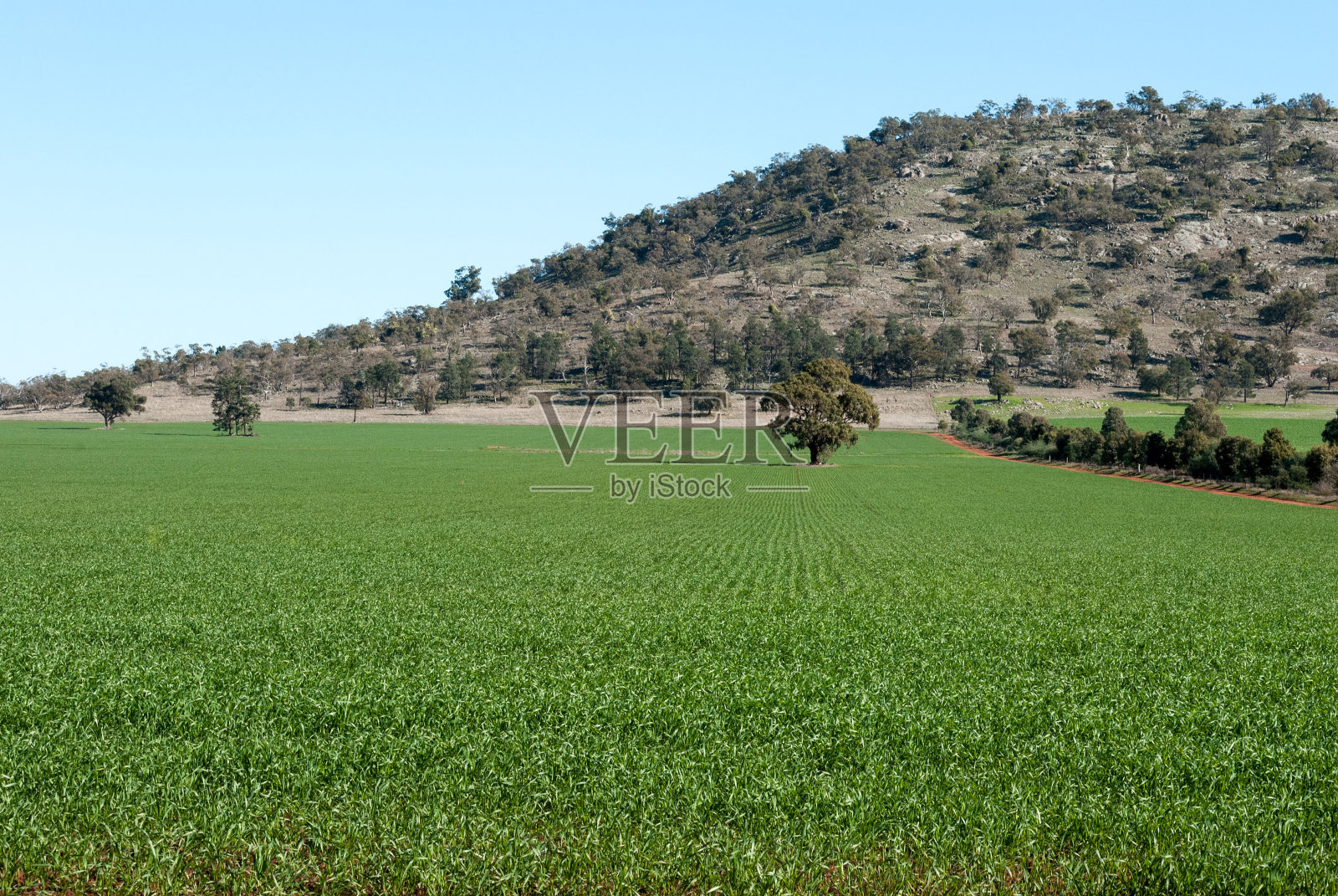 农业照片摄影图片