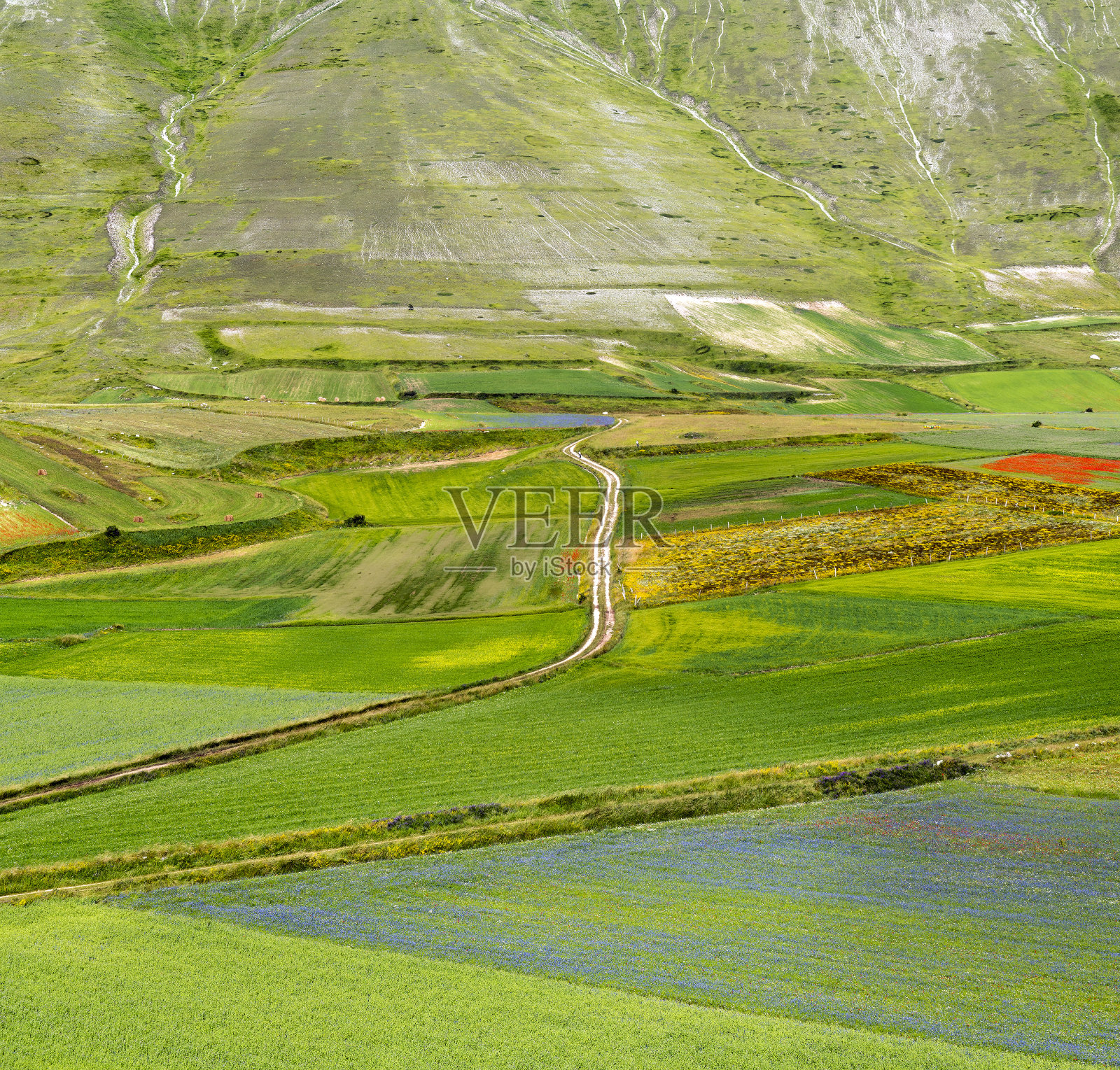 卡斯特卢西奥的大钢琴。照片摄影图片