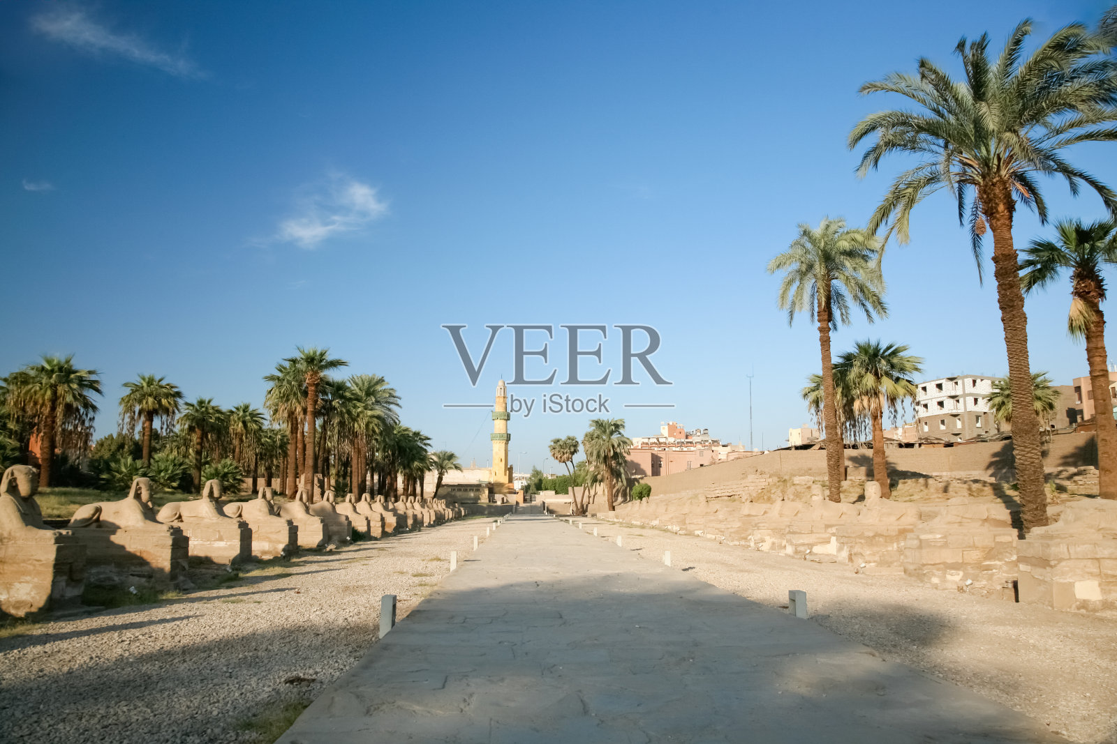 从卢克索到卡纳克的道路照片摄影图片