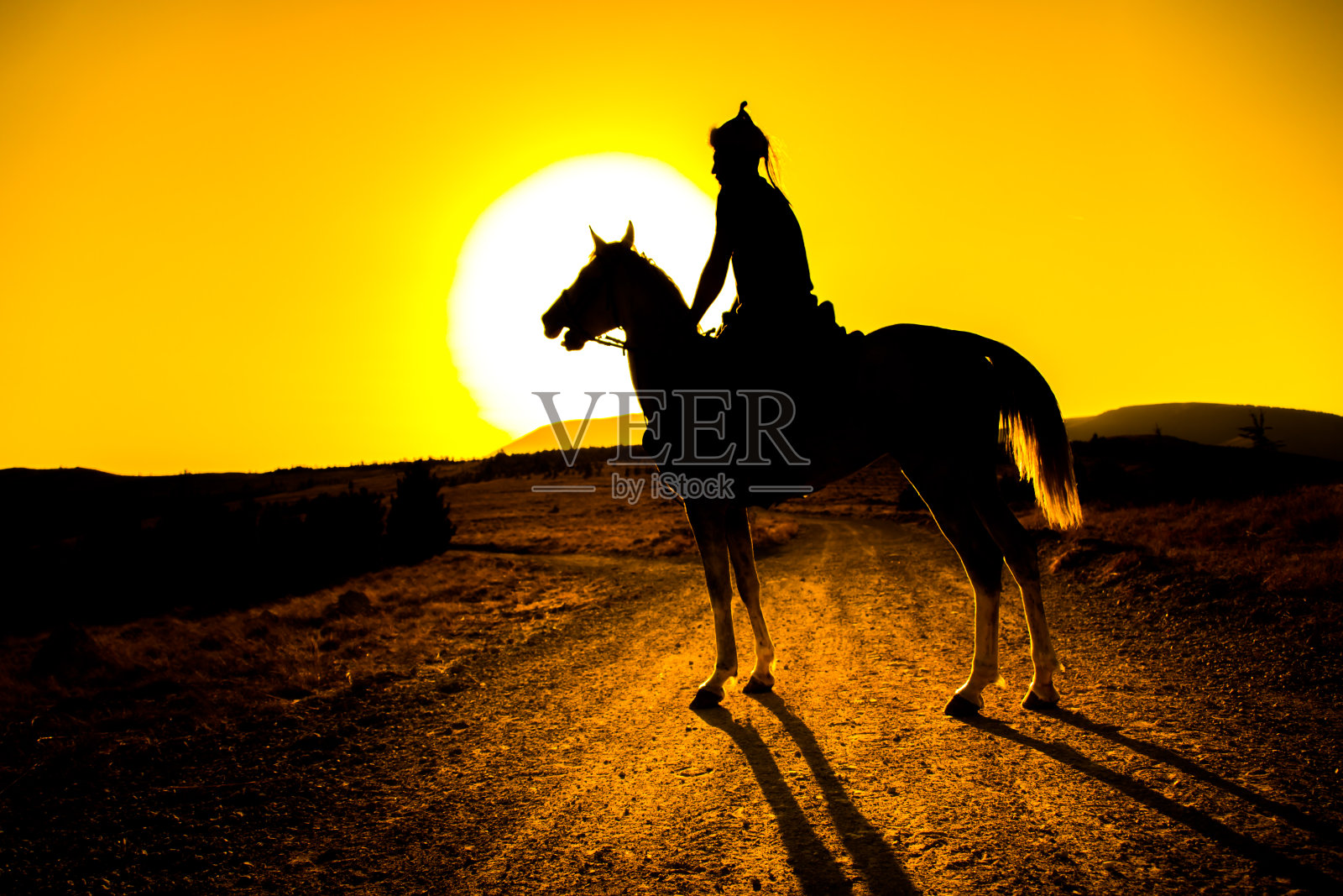 土耳其的马照片摄影图片
