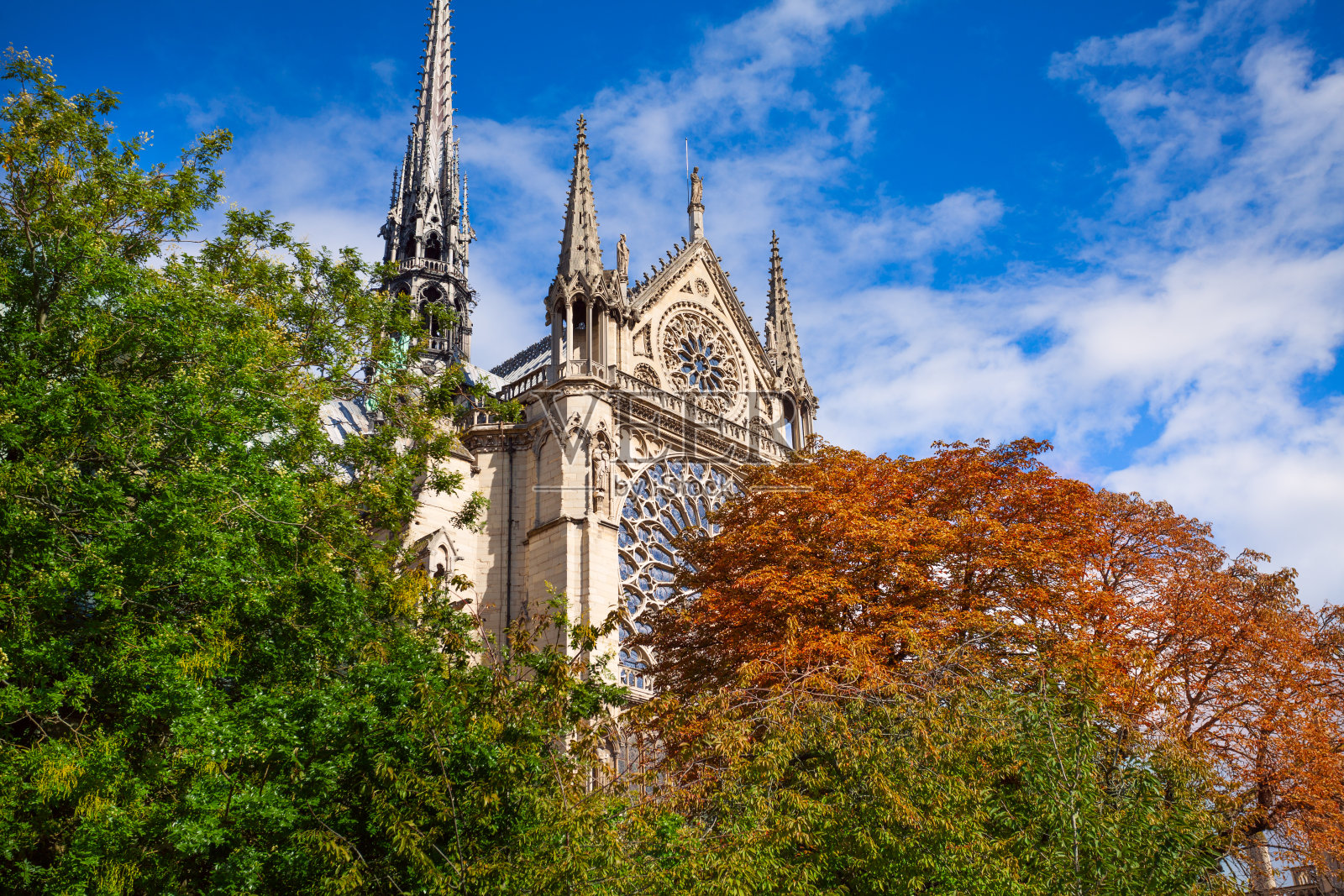 法国巴黎圣母院的正面照片摄影图片