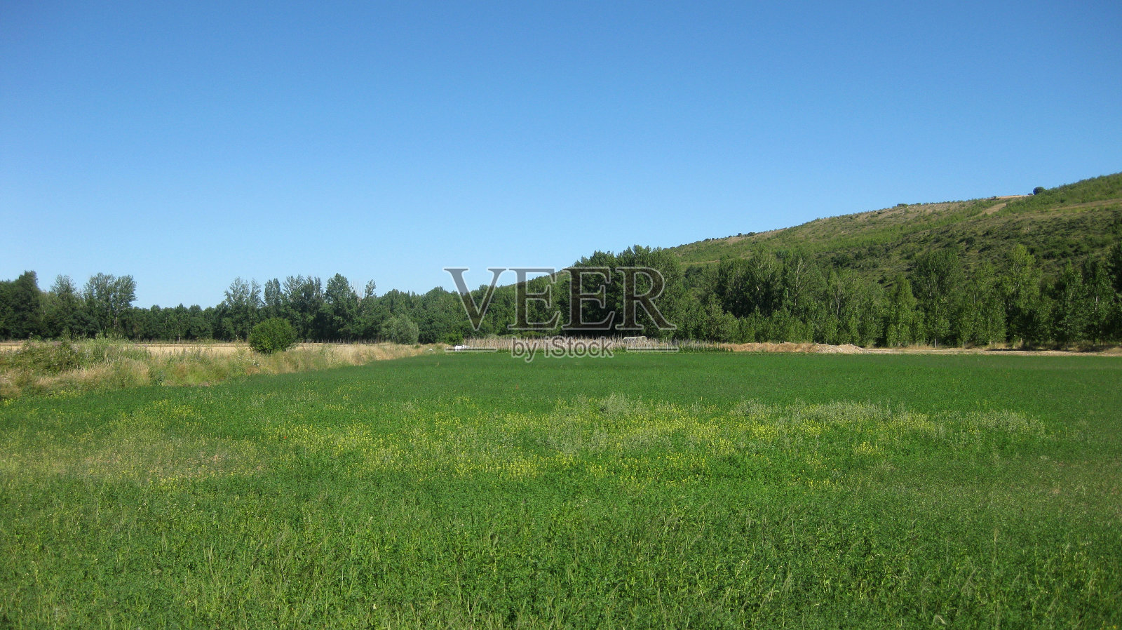 农田。照片摄影图片
