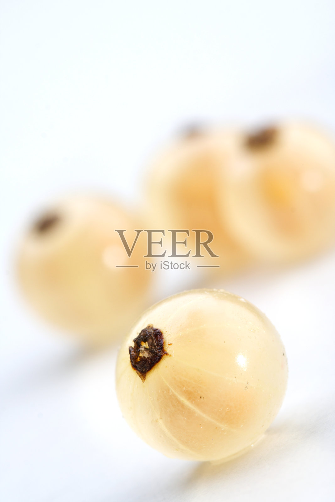 近距离观察白醋栗照片摄影图片