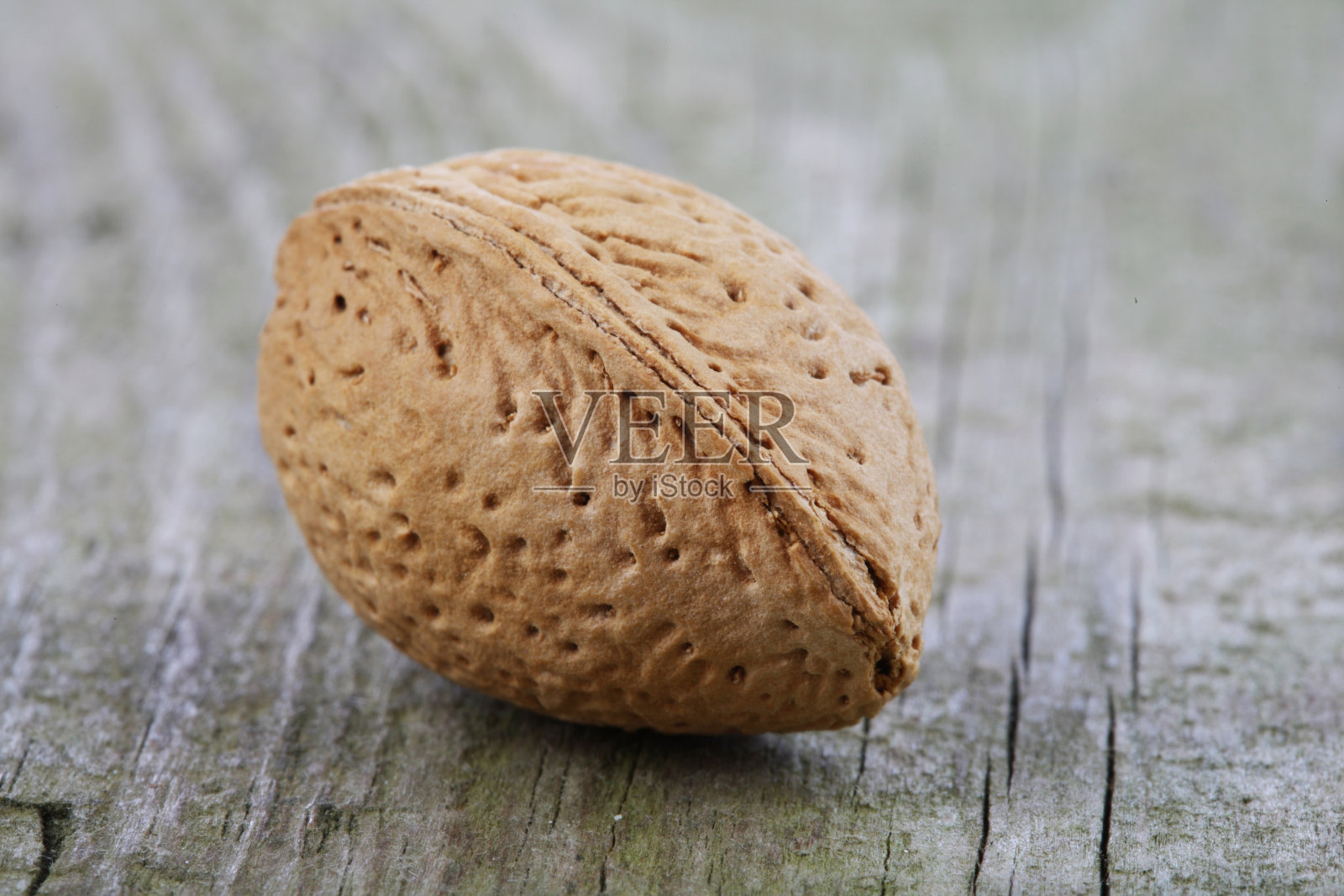 杏仁在贝壳-特写照片摄影图片