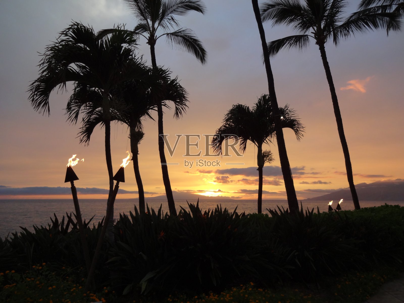 《日落时分的提基火炬照片摄影图片