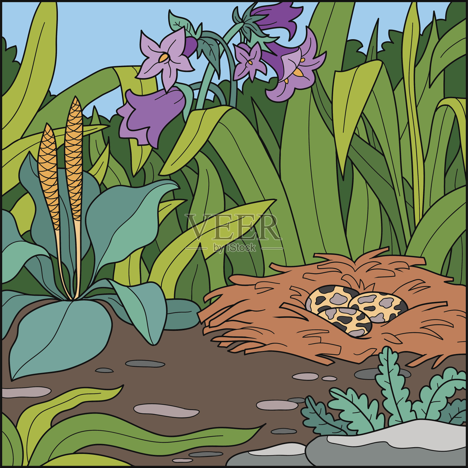 矢量图，自然背景(田野里的鸟巢)插画图片素材