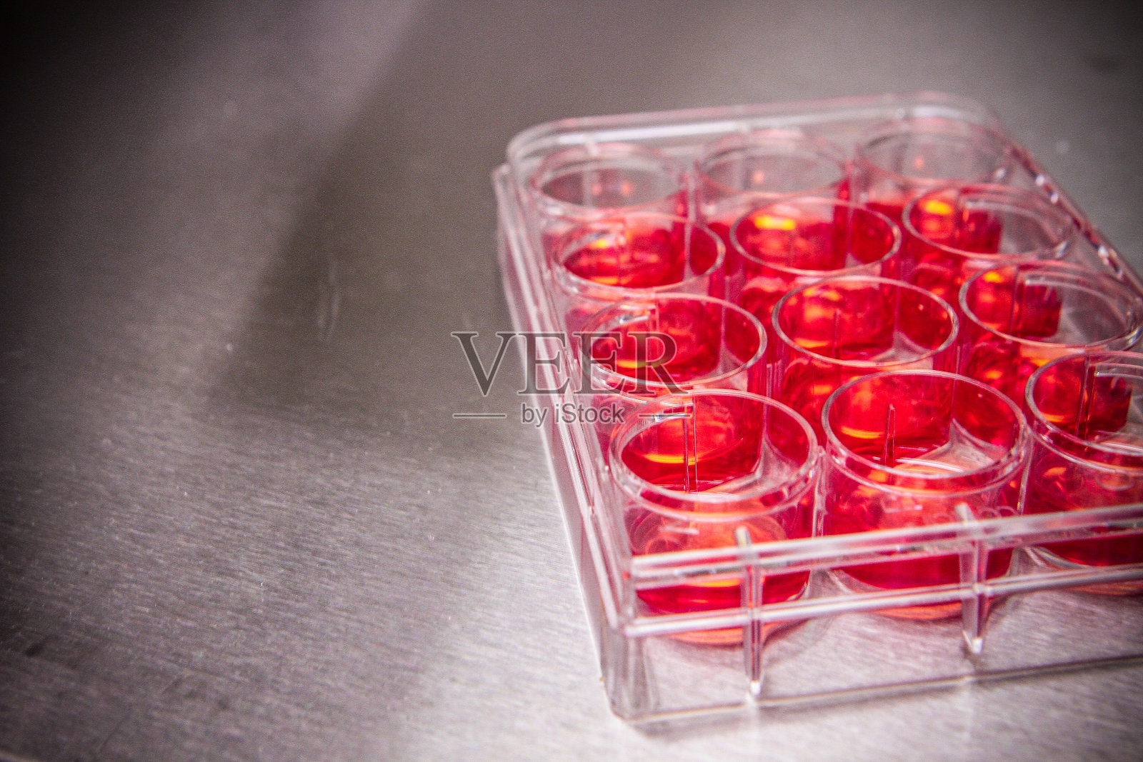 科学细胞研究- DNA和干细胞照片摄影图片