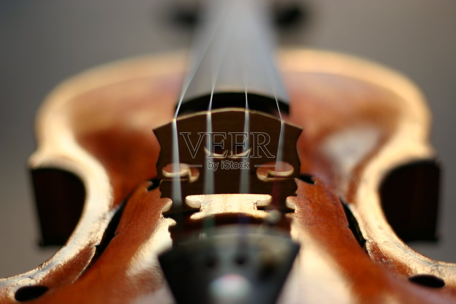 小提琴照片摄影图片