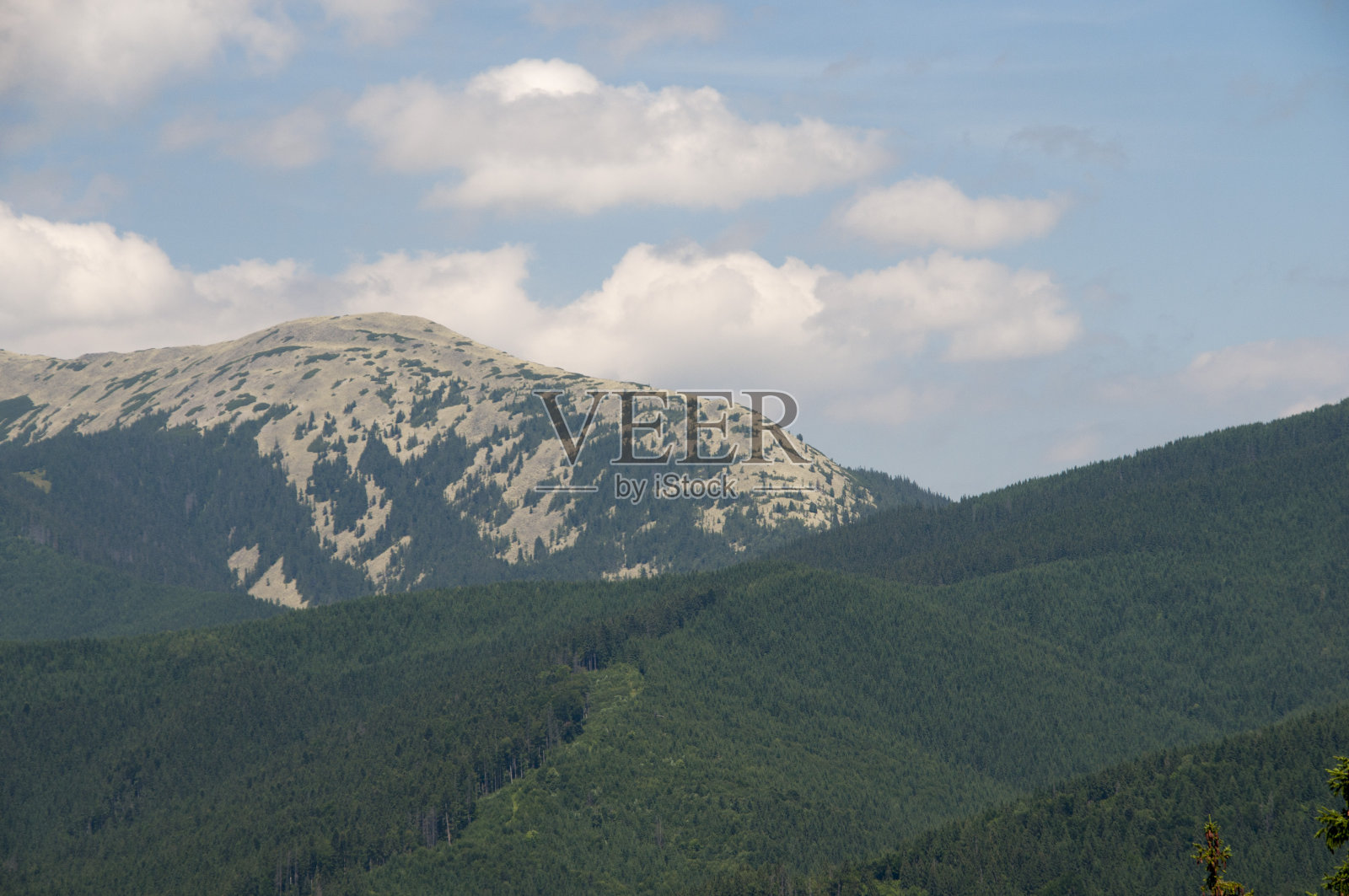 美丽的风景在喀尔巴阡度假胜地布科维尔照片摄影图片