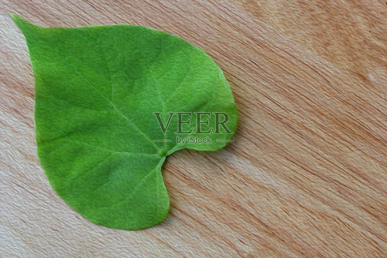 绿叶油漆合照片摄影图片