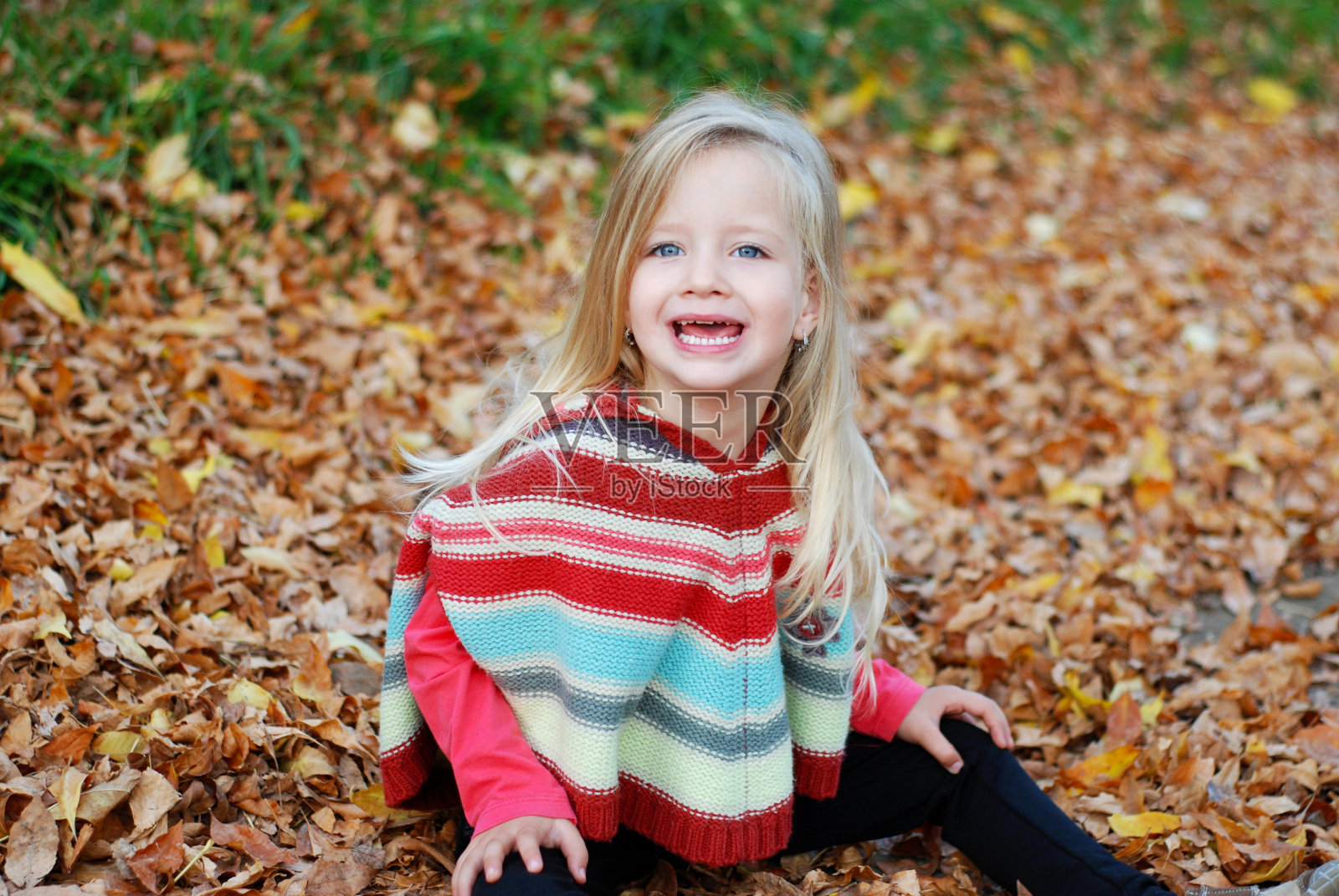 公园里的秋天照片摄影图片