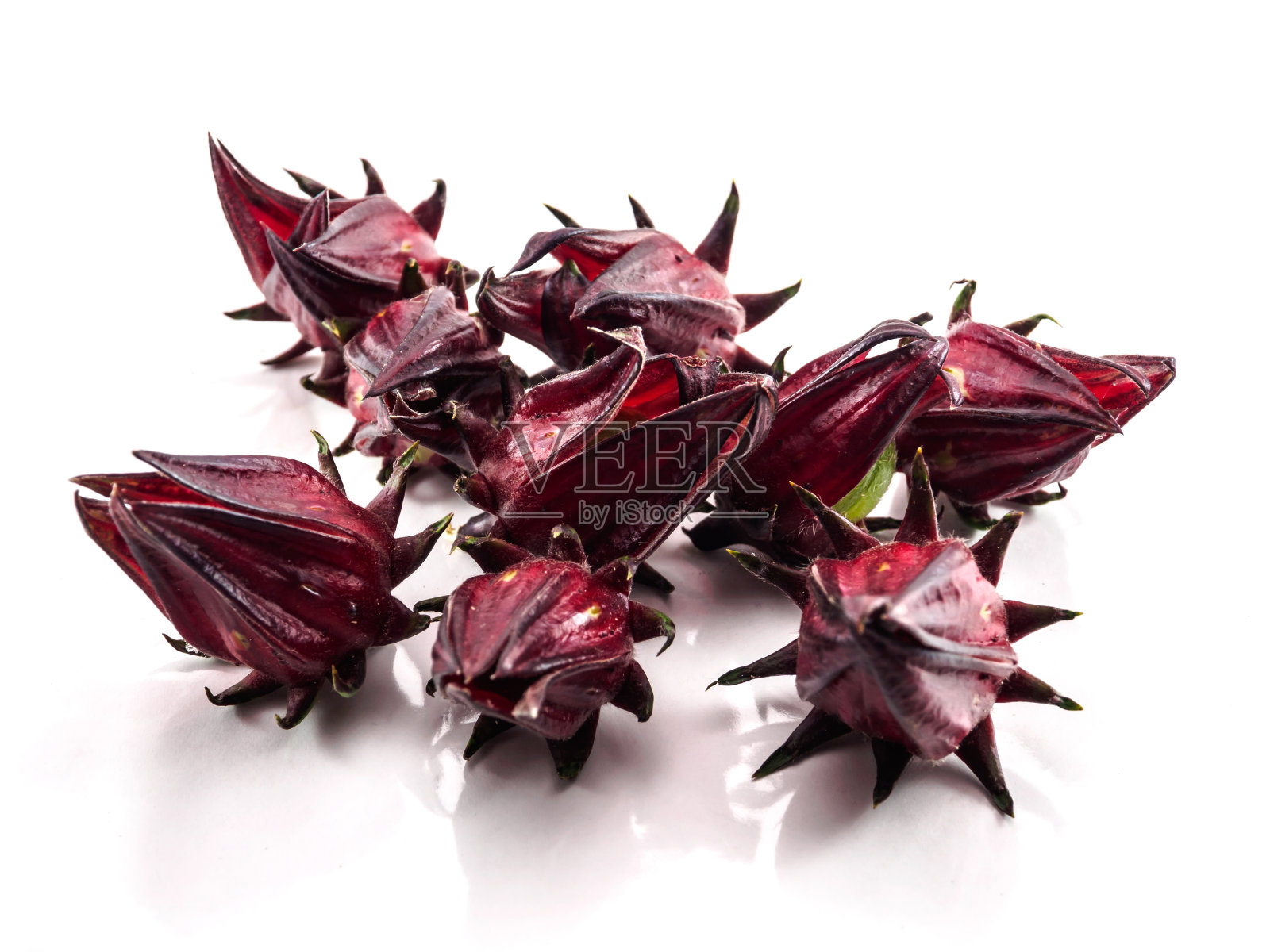 孤立的Roselle群照片摄影图片