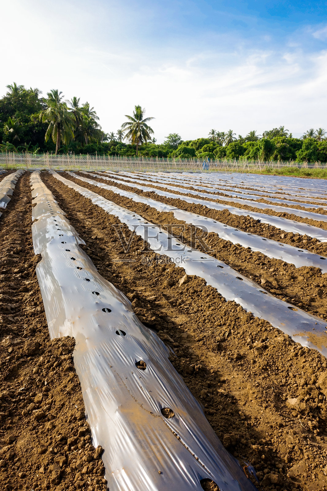 农业领域照片摄影图片