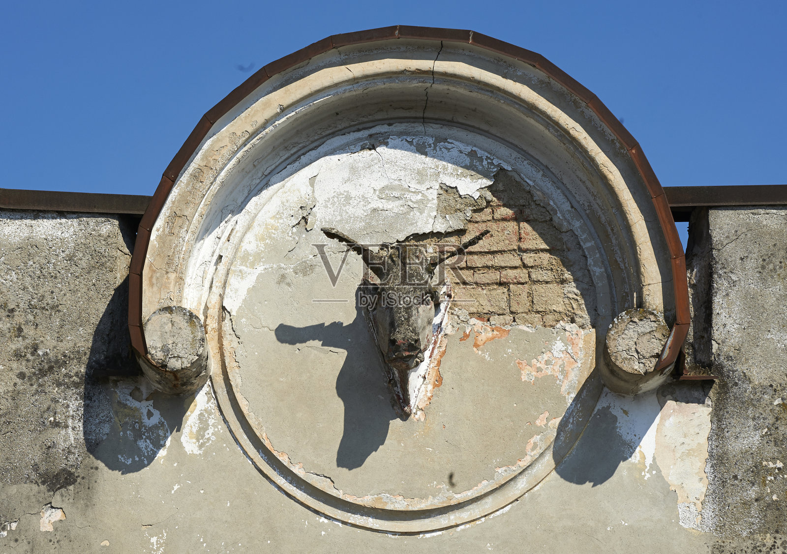 牛肉照片摄影图片