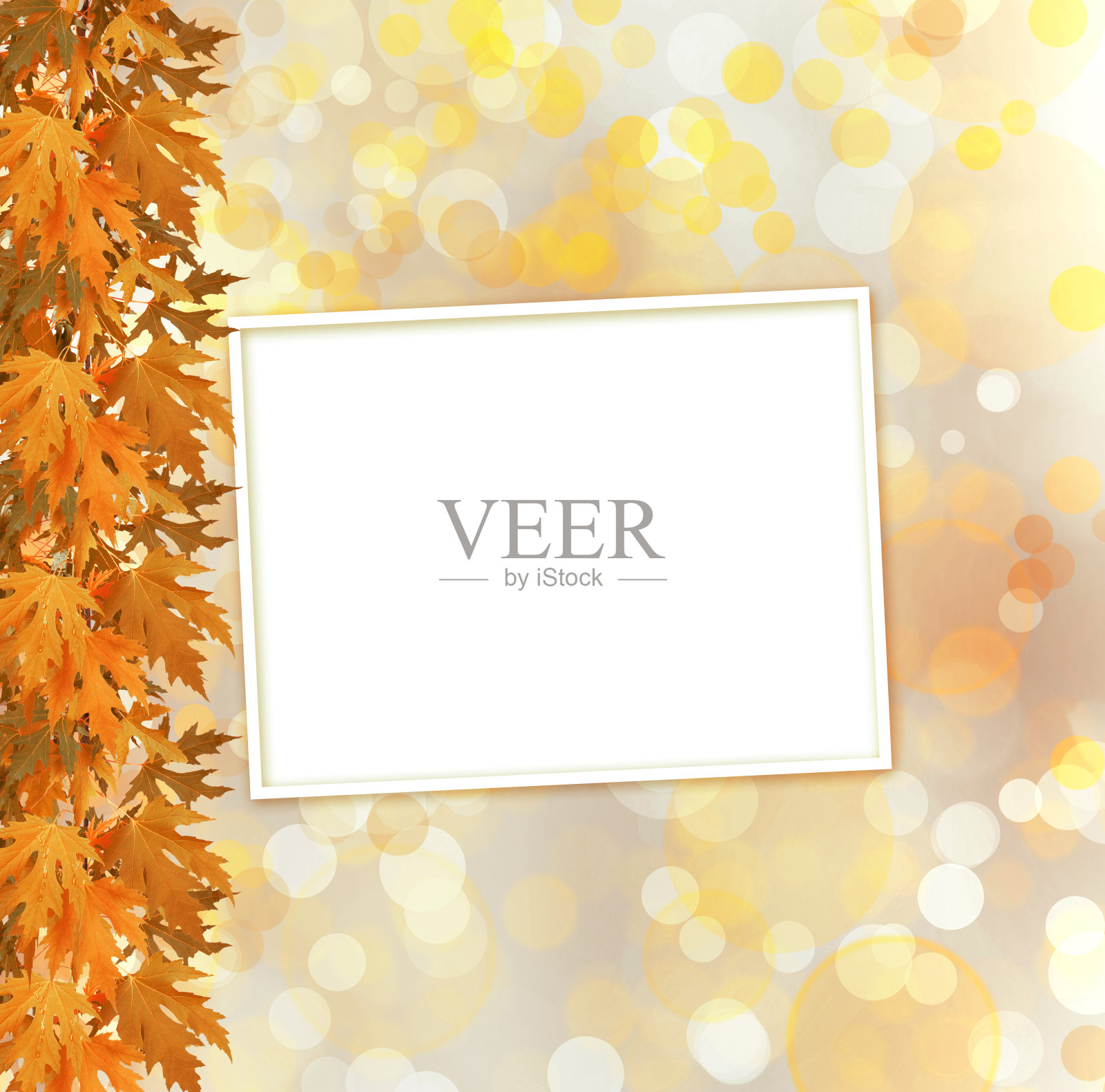 橙色的秋天树枝上抽象的背景与柏木照片摄影图片