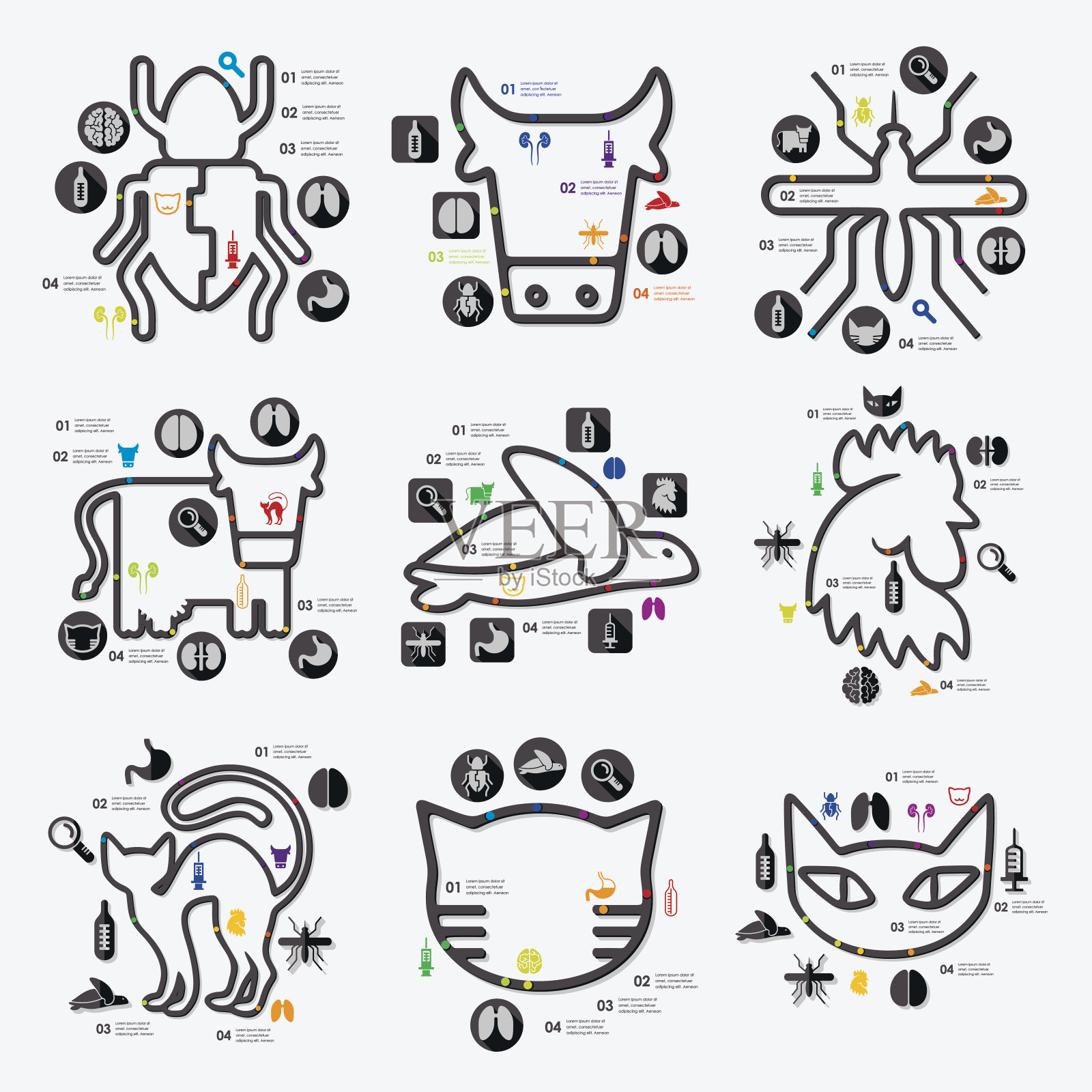 兽医信息图表插画图片素材