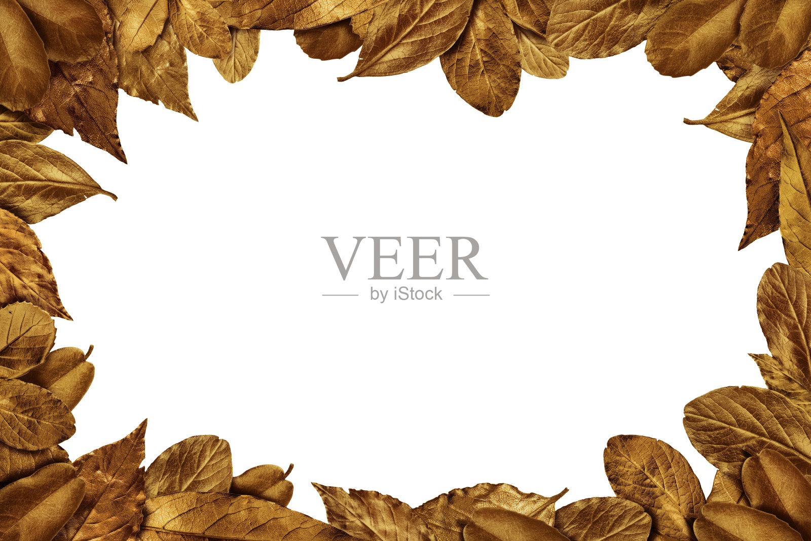 秋叶古董框照片摄影图片