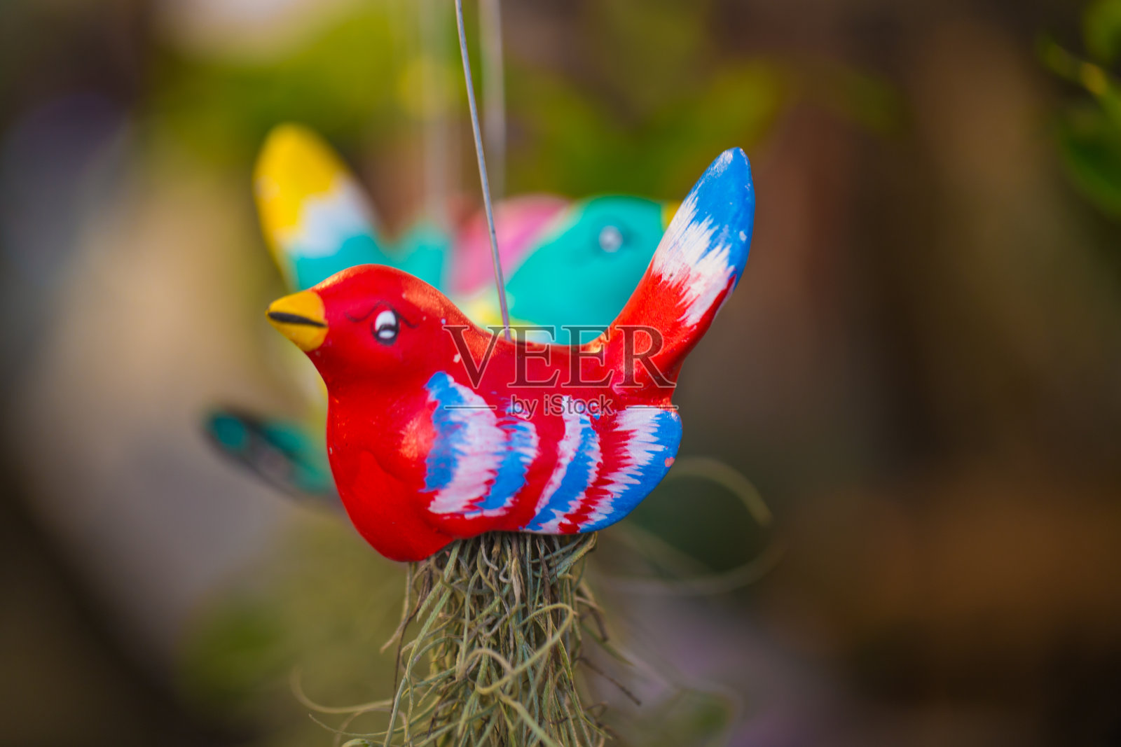 盆栽园艺照片摄影图片