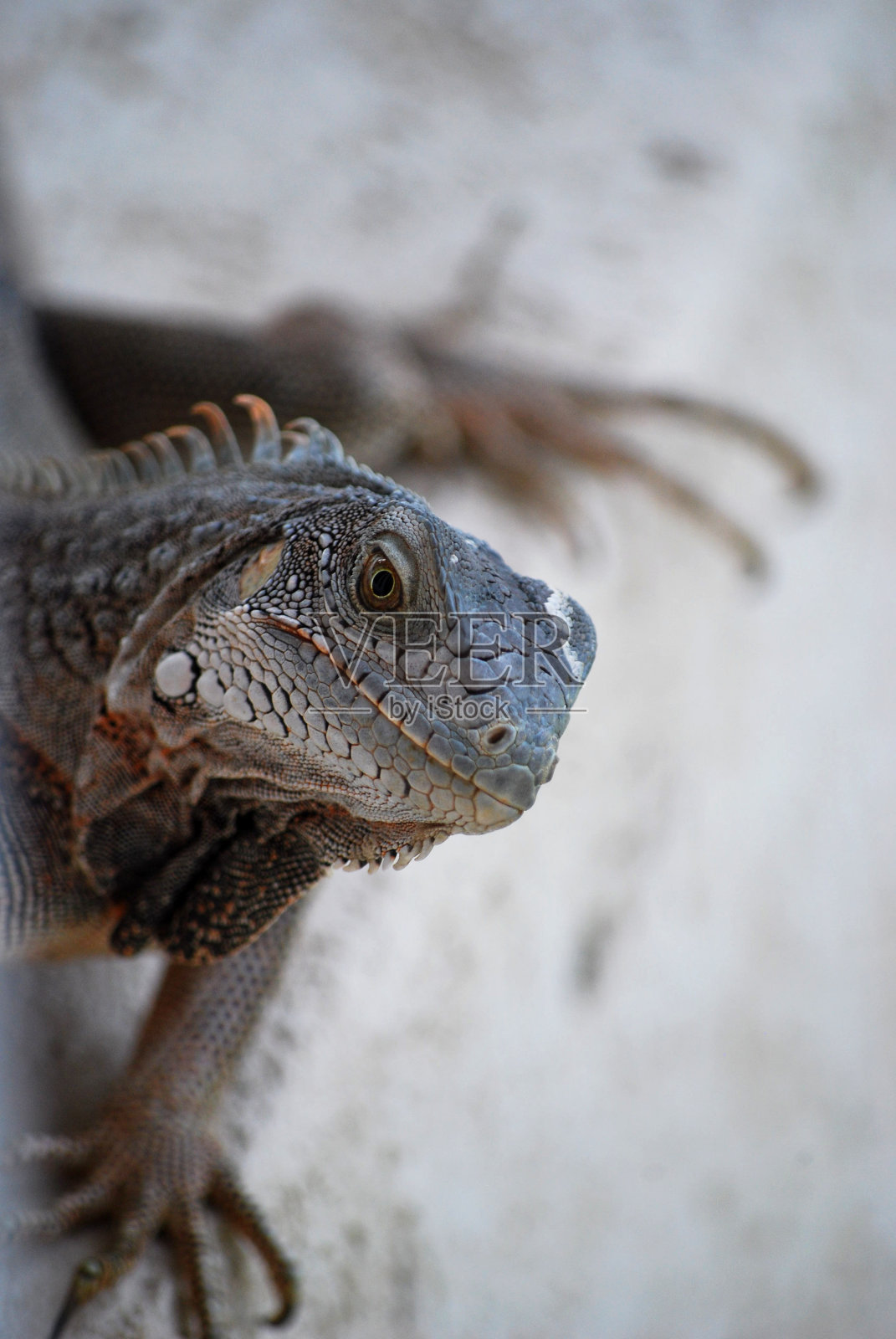 看相机照片摄影图片