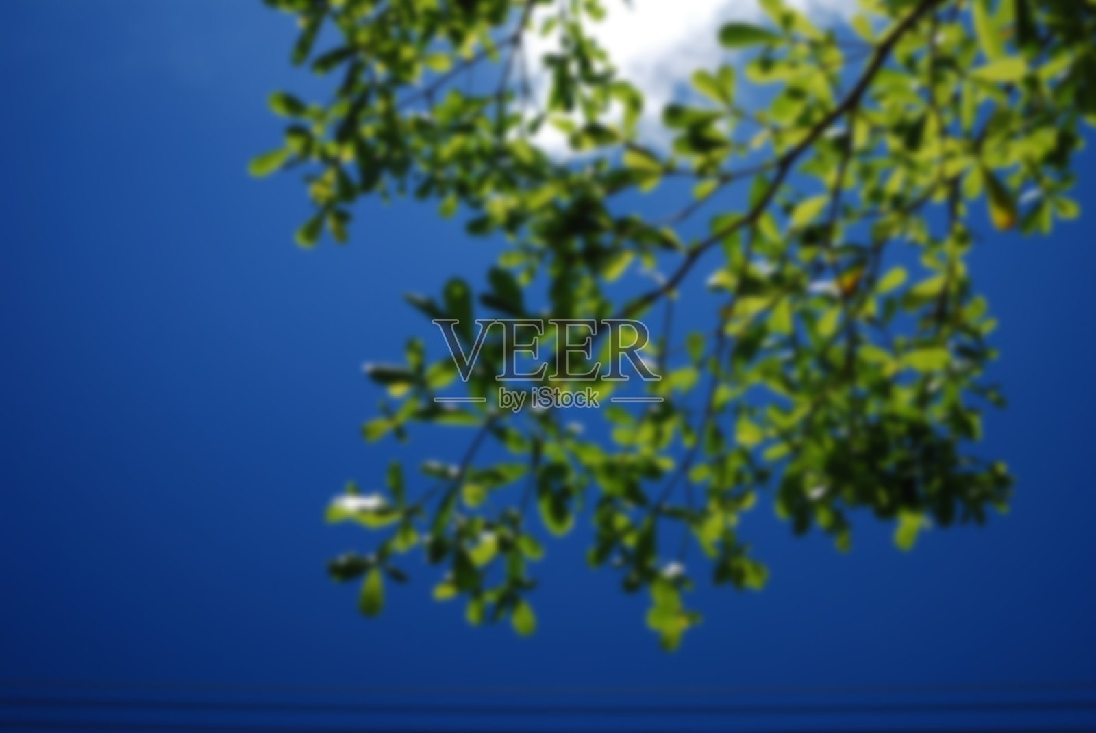 模糊的背景照片摄影图片