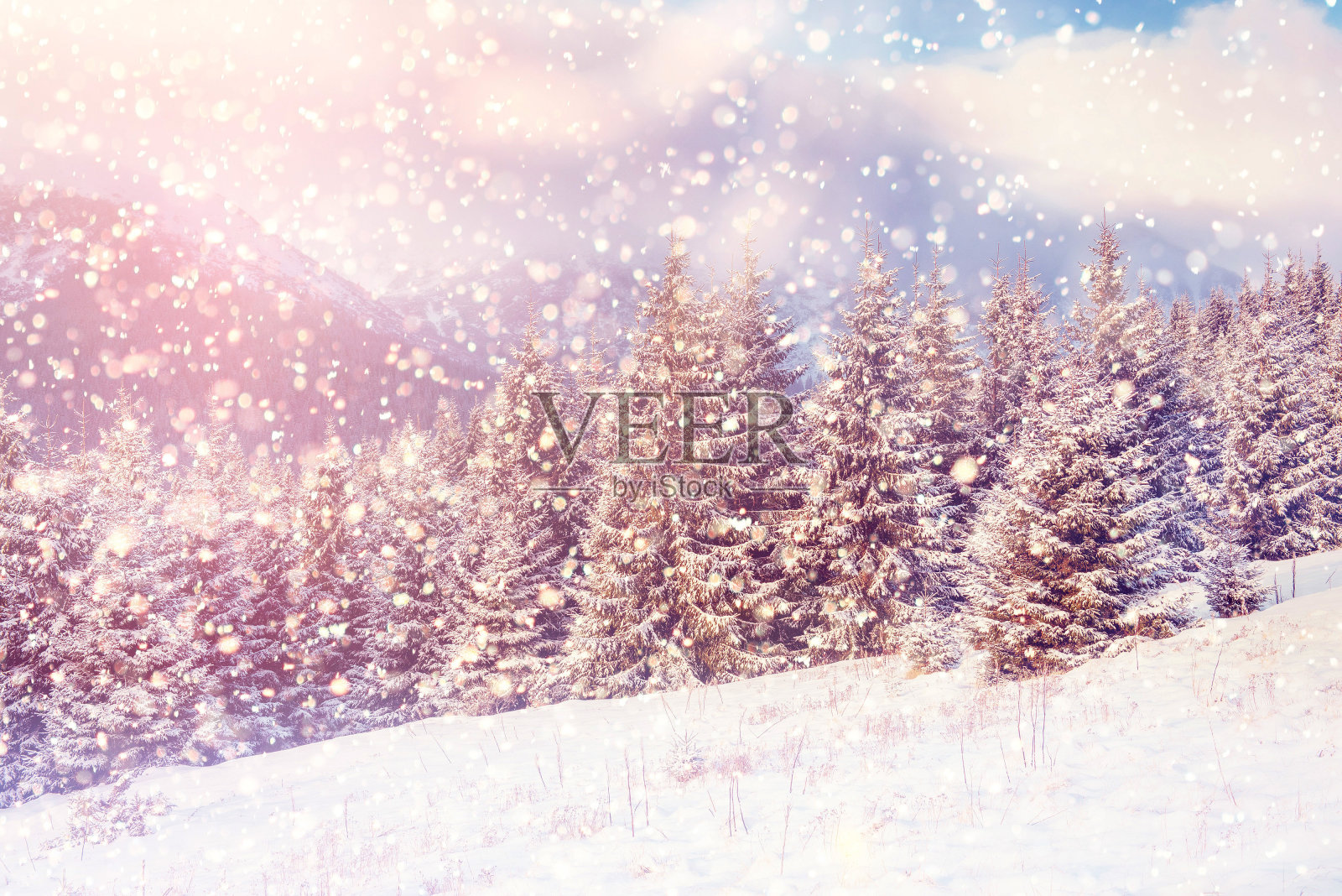 神奇的冬季景观,照片摄影图片