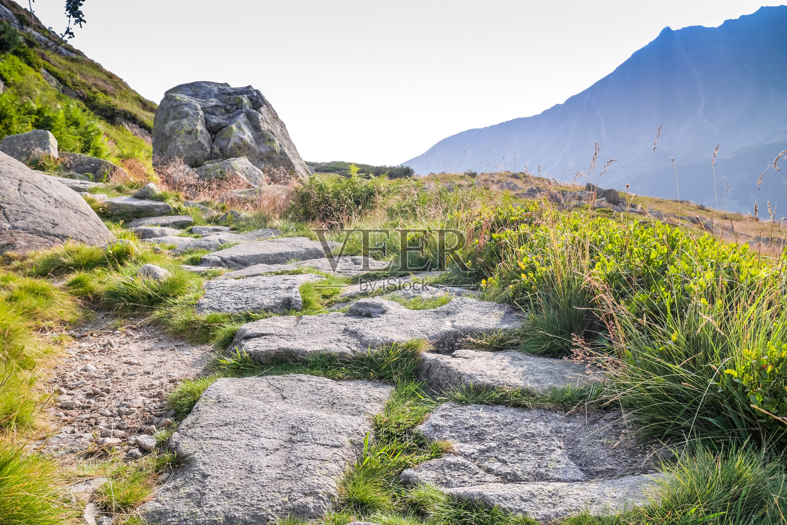 在美丽的塔特拉山国家公园的小径照片摄影图片