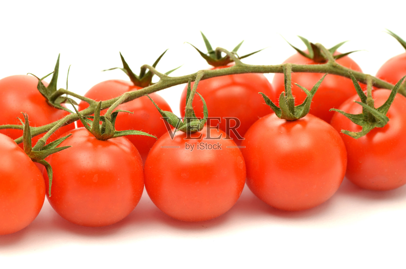 在白色背景上分离的新鲜樱桃番茄的分枝照片摄影图片