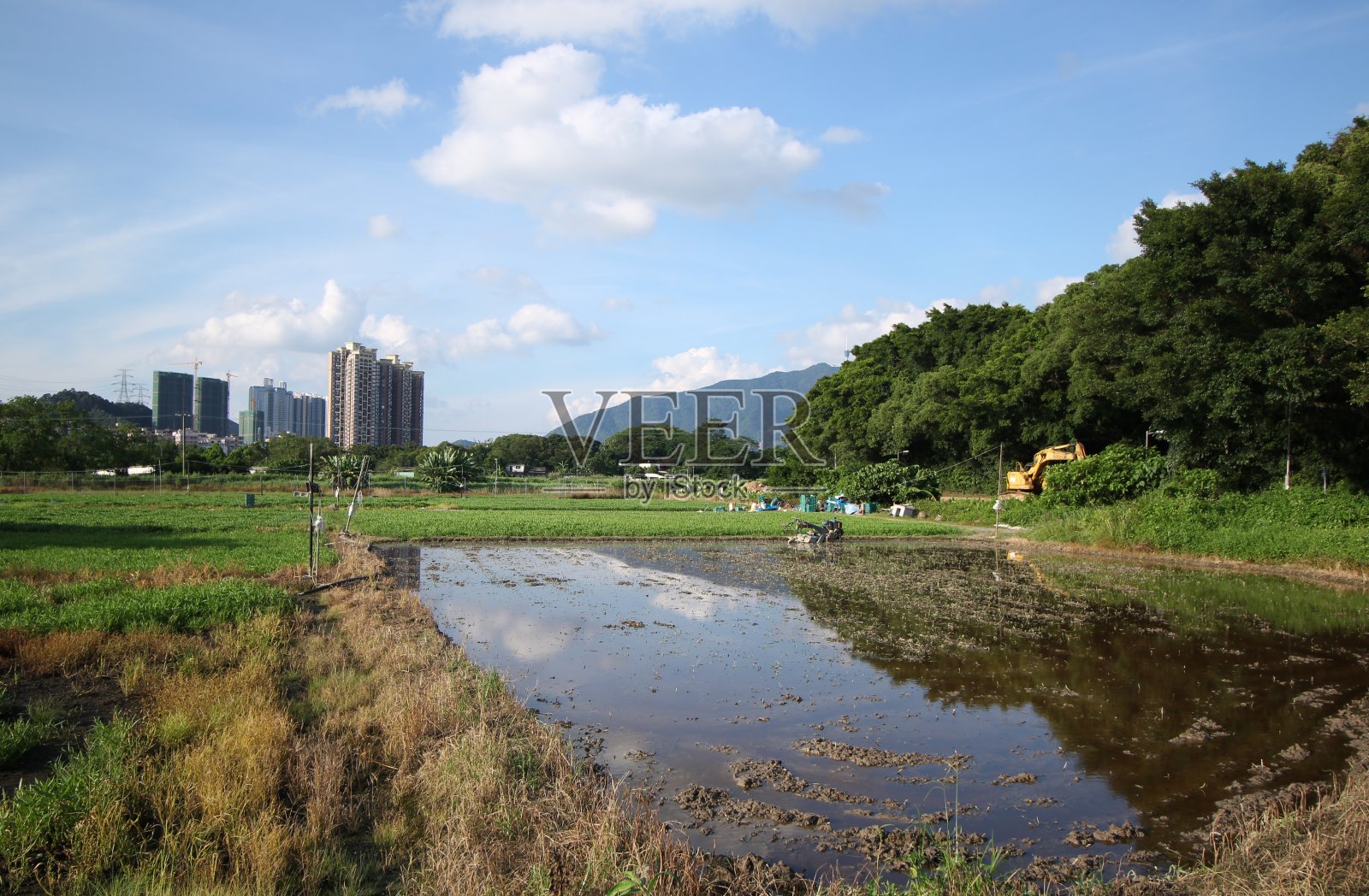 香港新界的菜地照片摄影图片