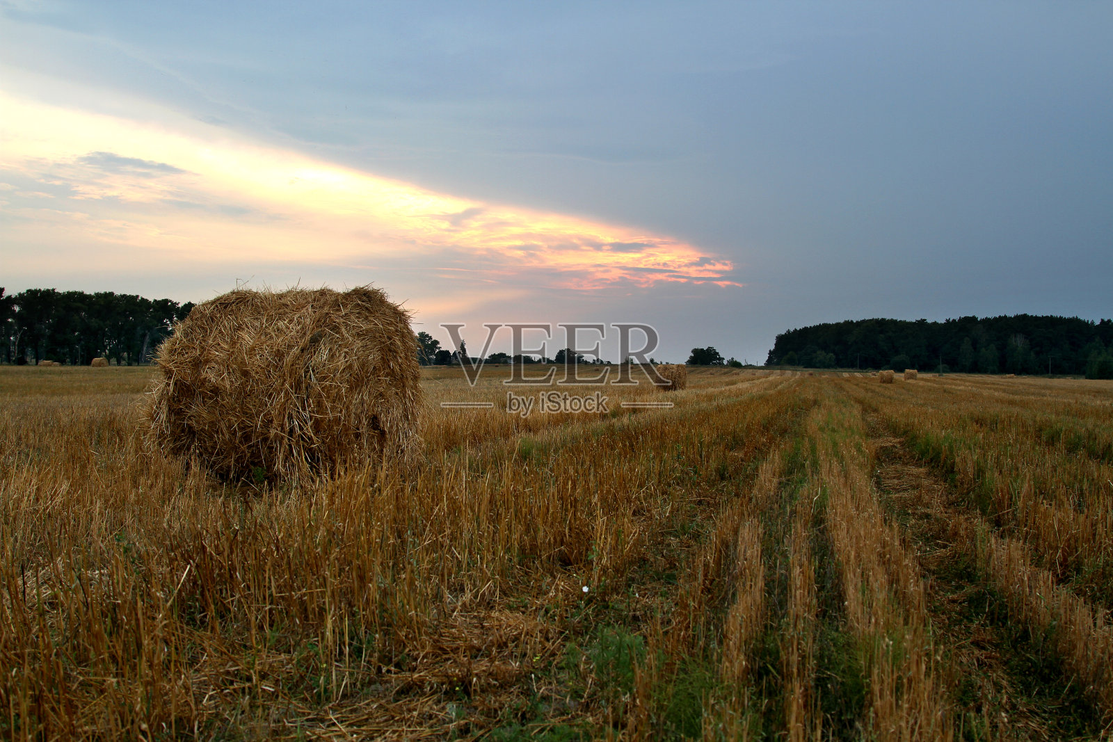 干草捆、字段照片摄影图片
