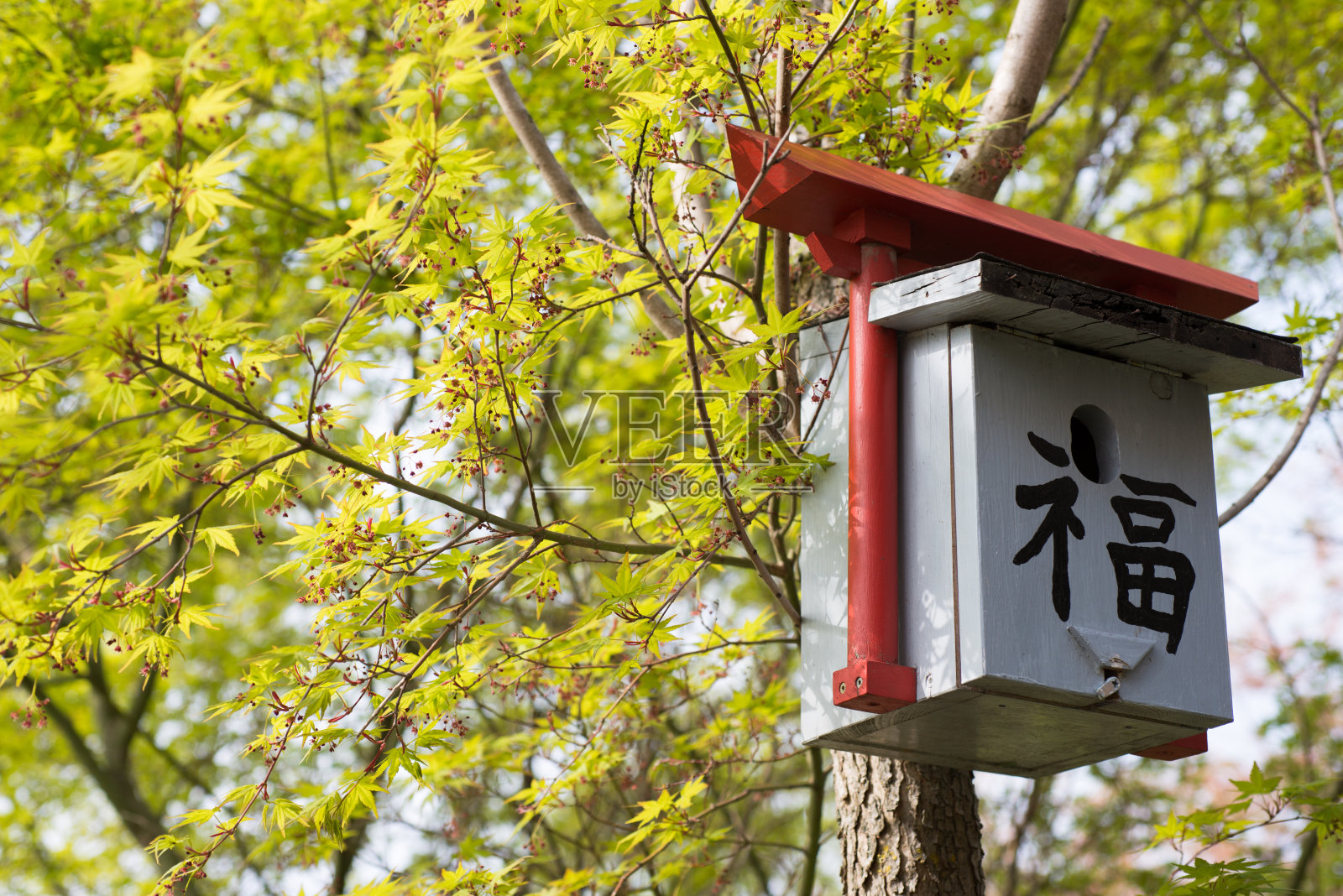 鸟居日本鸟居在春天照片摄影图片