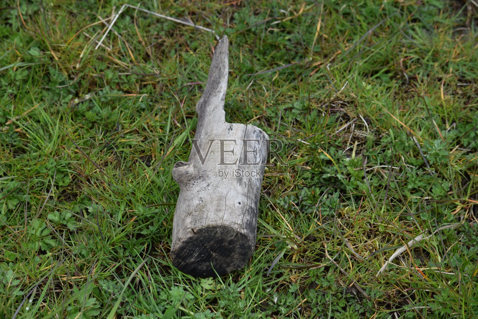 只是一个日志照片摄影图片