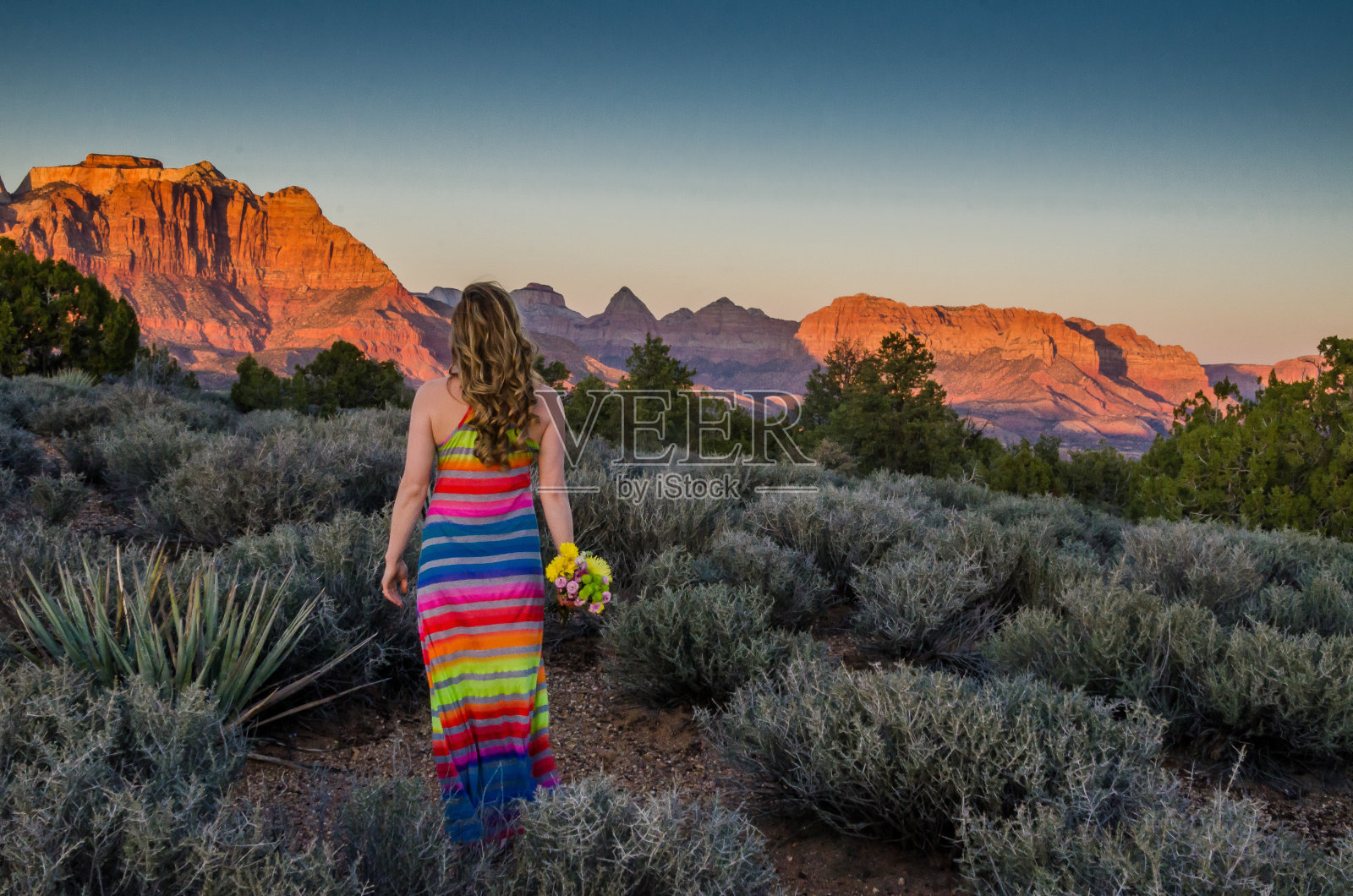 一个手持鲜花凝视夕阳的美女。照片摄影图片